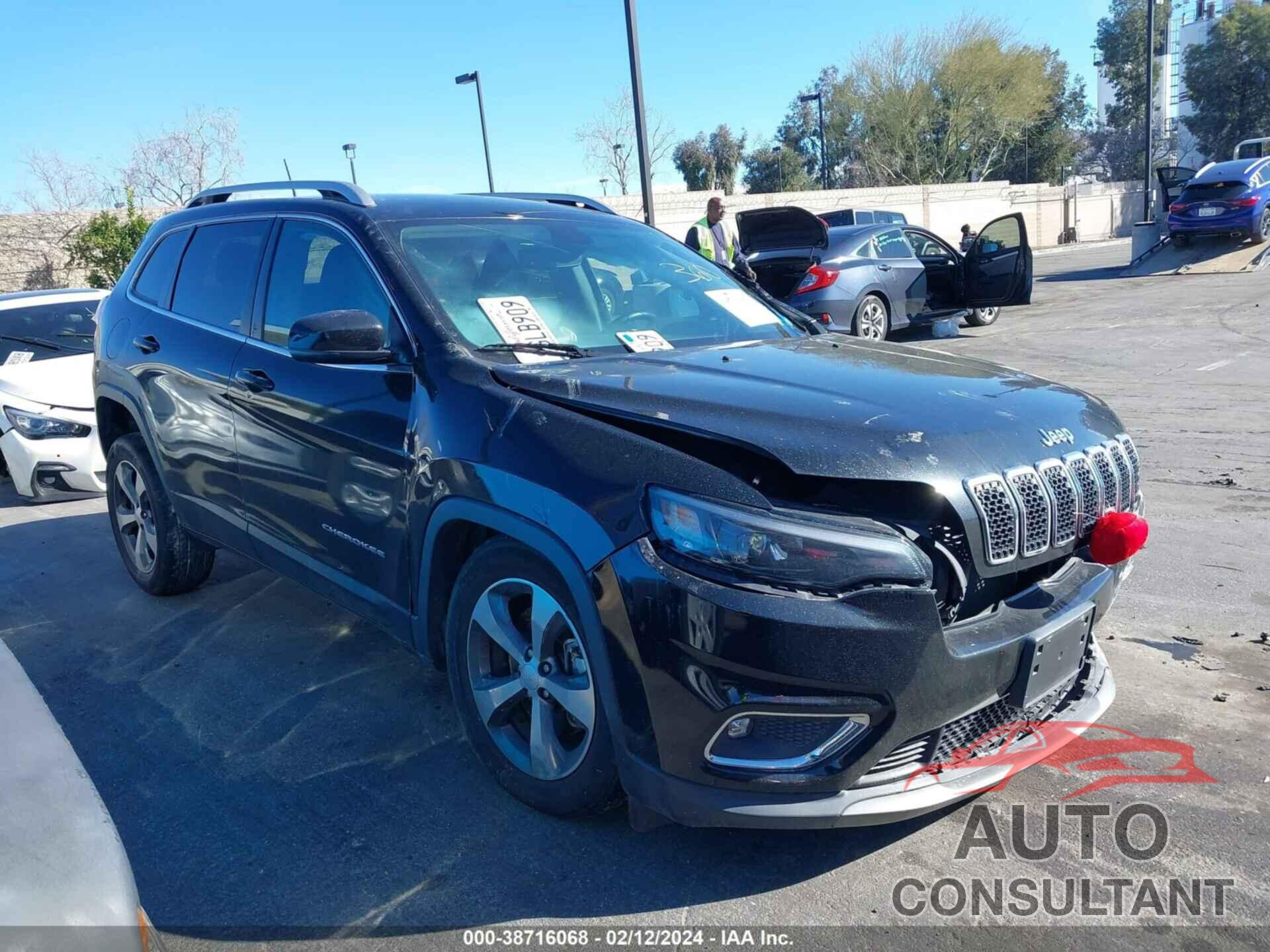 JEEP CHEROKEE 2019 - 1C4PJMDN0KD130736