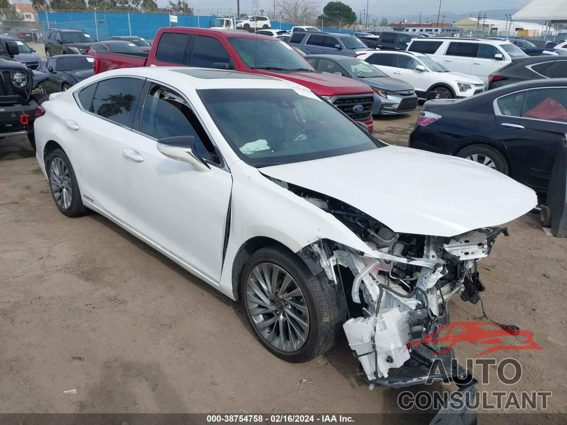 LEXUS ES 300H 2021 - 58AEA1C16MU003534