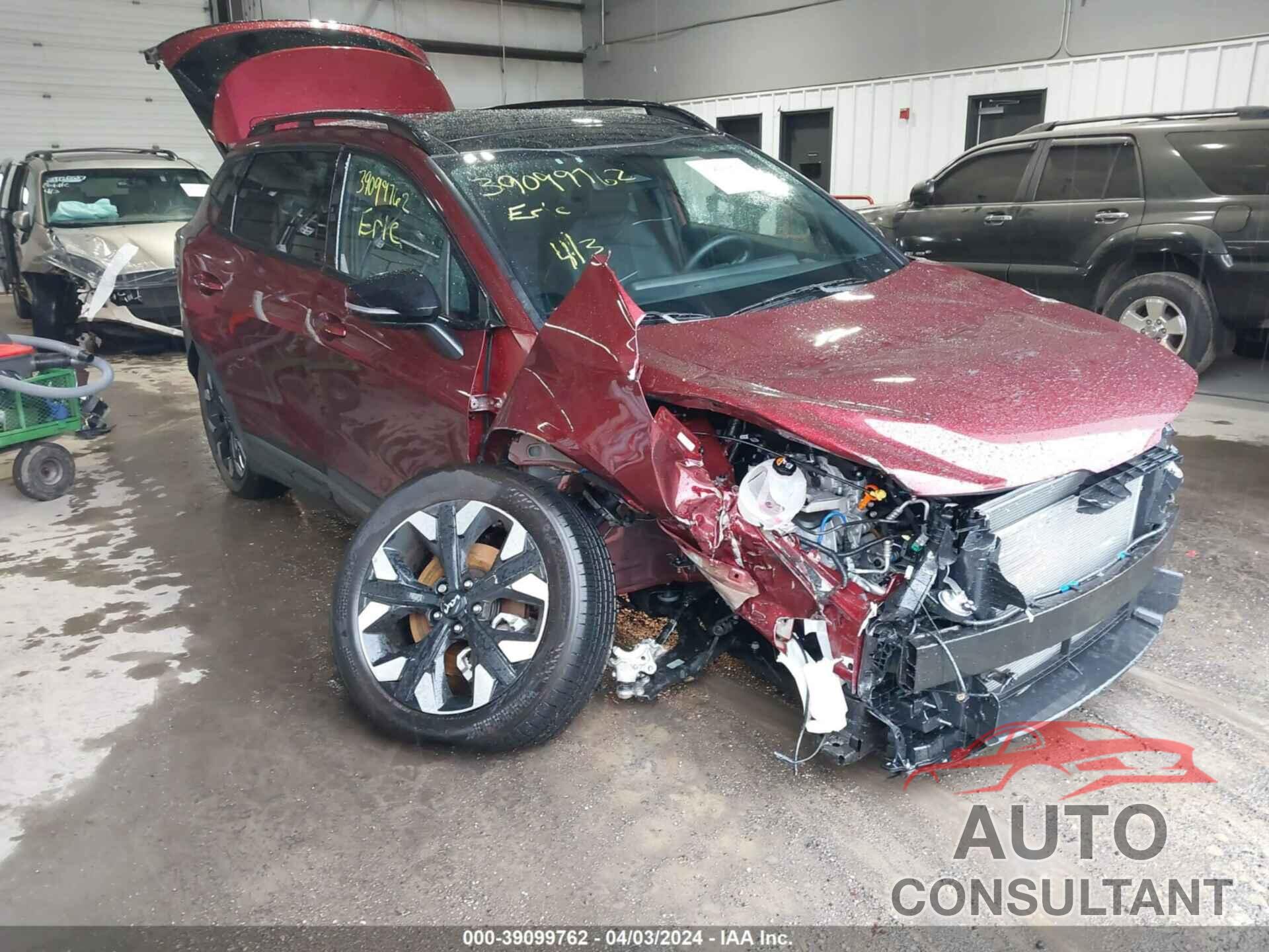 KIA SPORTAGE 2024 - 5XYK6CDF9RG142667