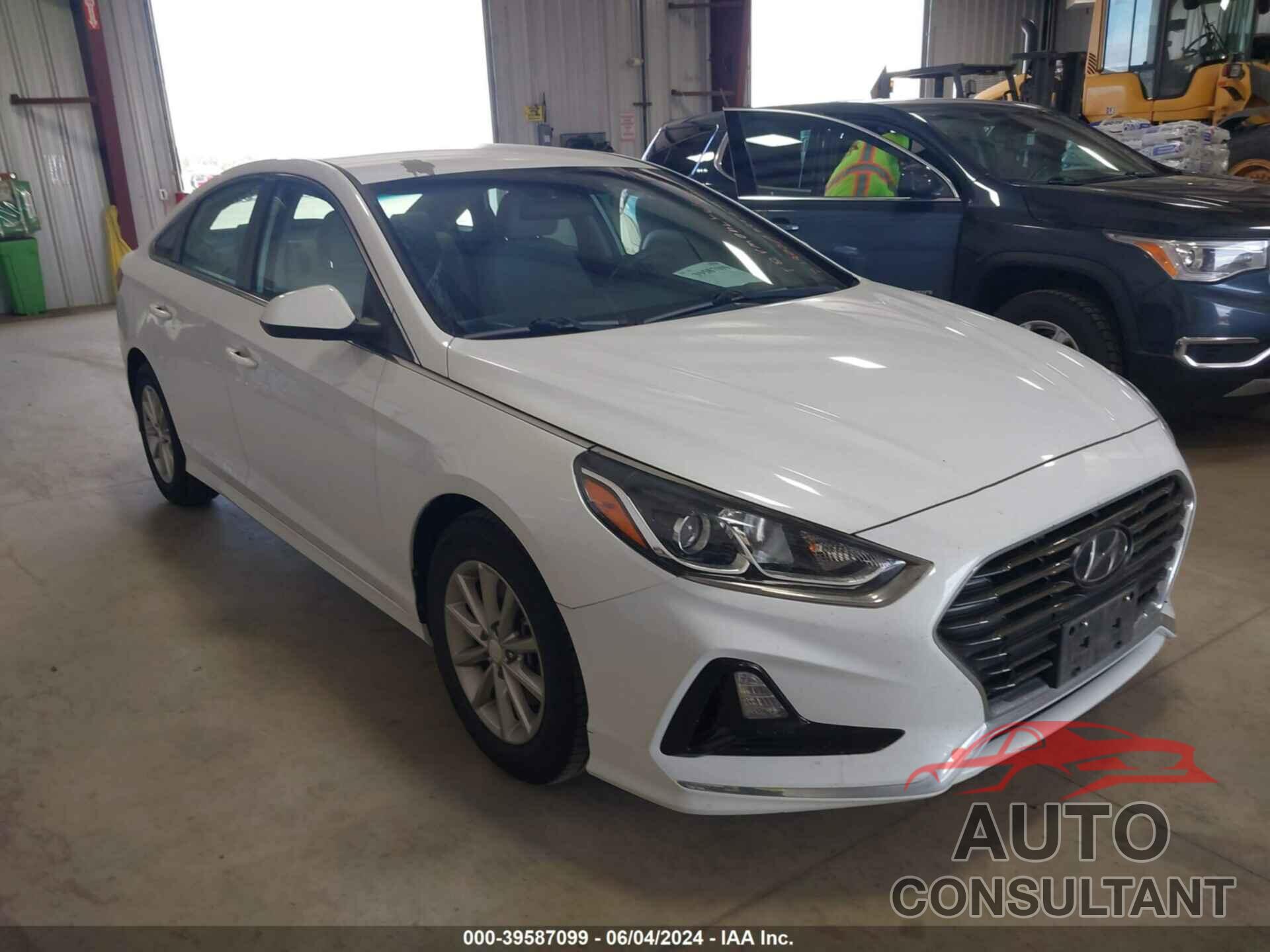 HYUNDAI SONATA 2019 - 5NPE24AA0KH774916