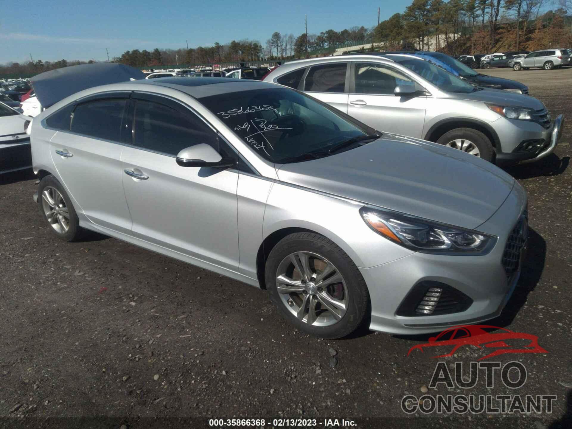 HYUNDAI SONATA 2019 - 5NPE34AF7KH755529