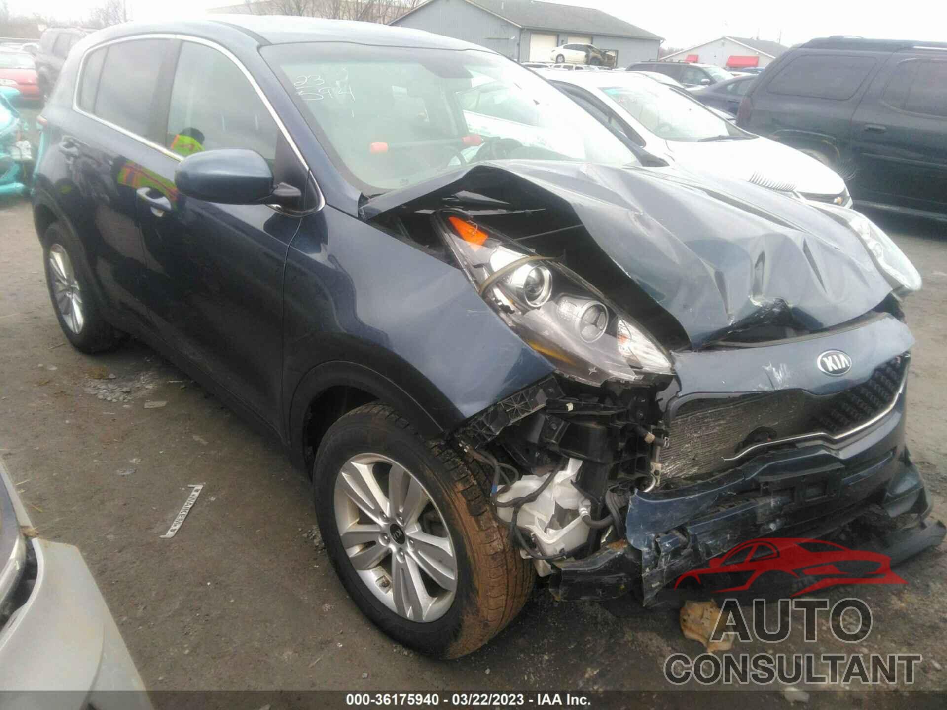 KIA SPORTAGE 2017 - KNDPM3AC8H7225959