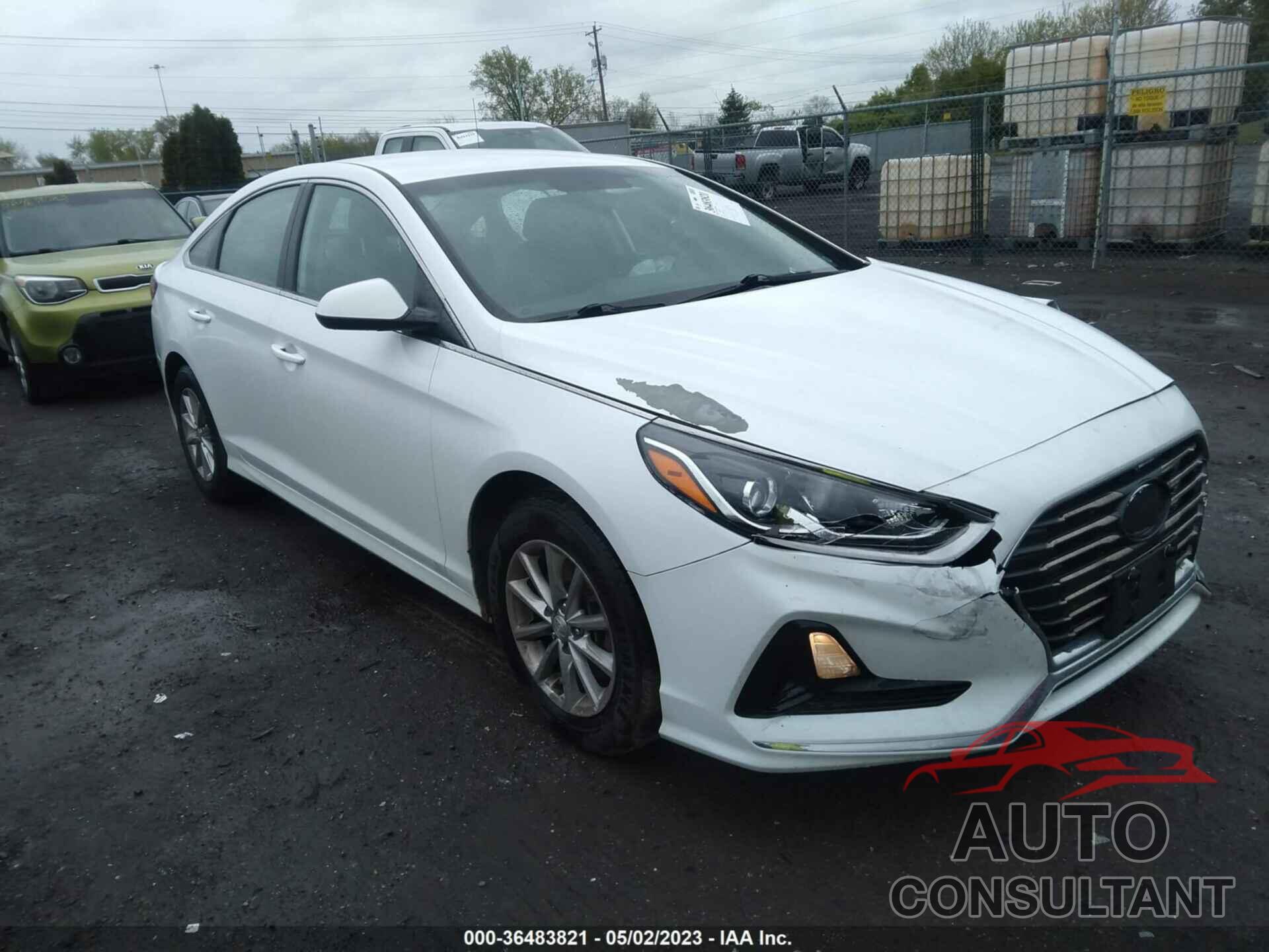 HYUNDAI SONATA 2019 - 5NPE24AF7KH790106