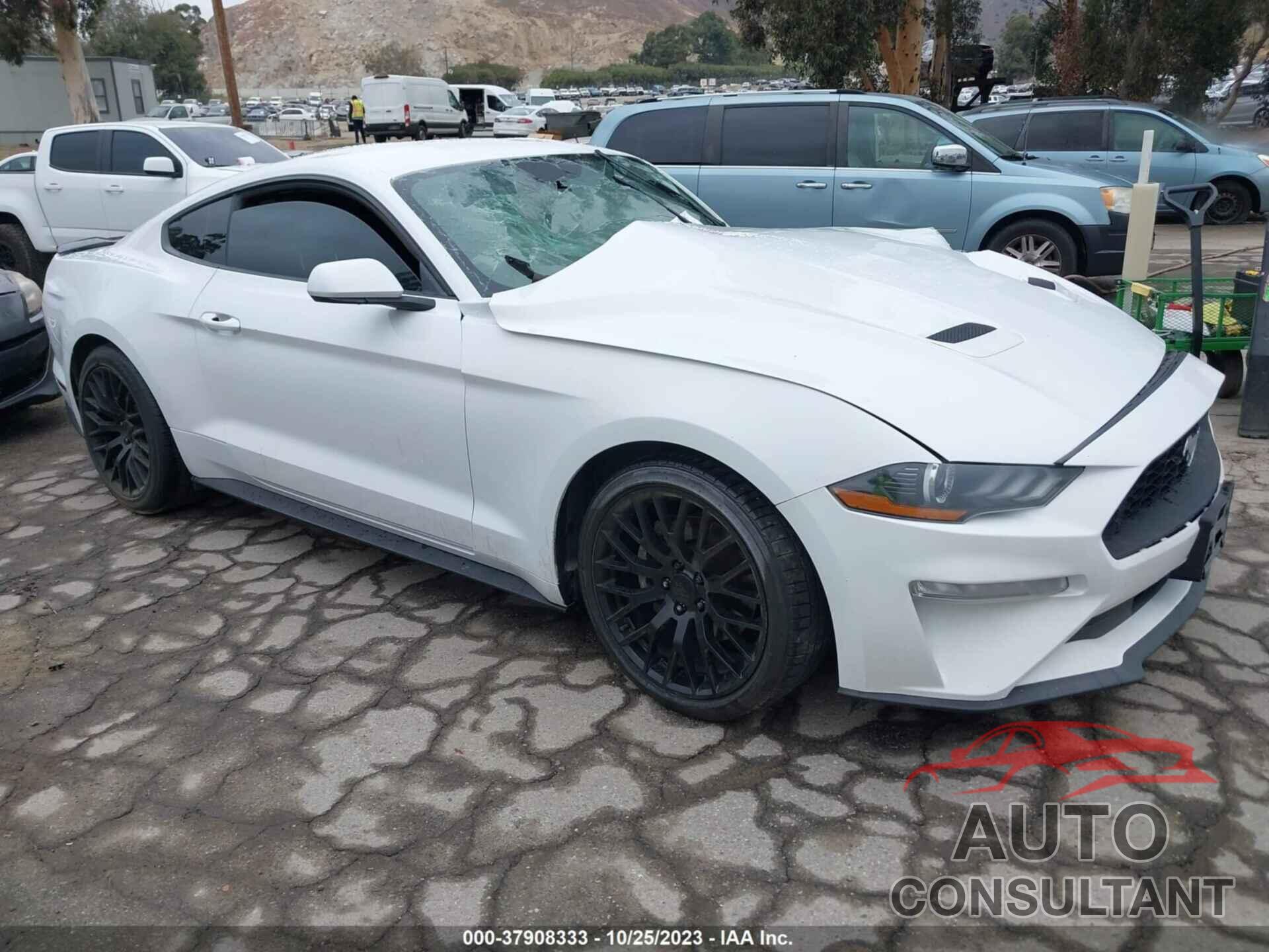 FORD MUSTANG 2019 - 1FA6P8TH5K5123360