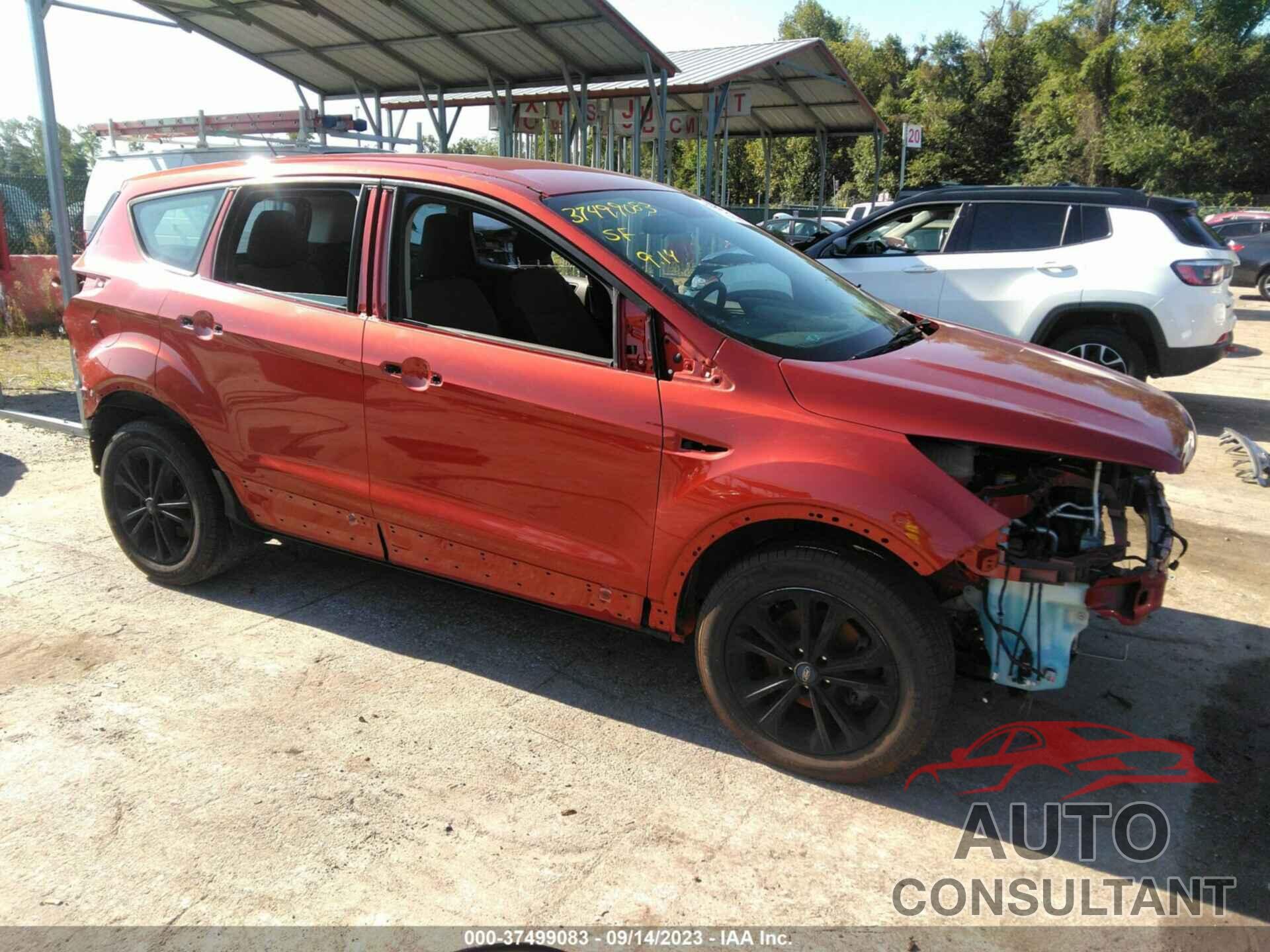 FORD ESCAPE 2019 - 1FMCU0F70KUA91641