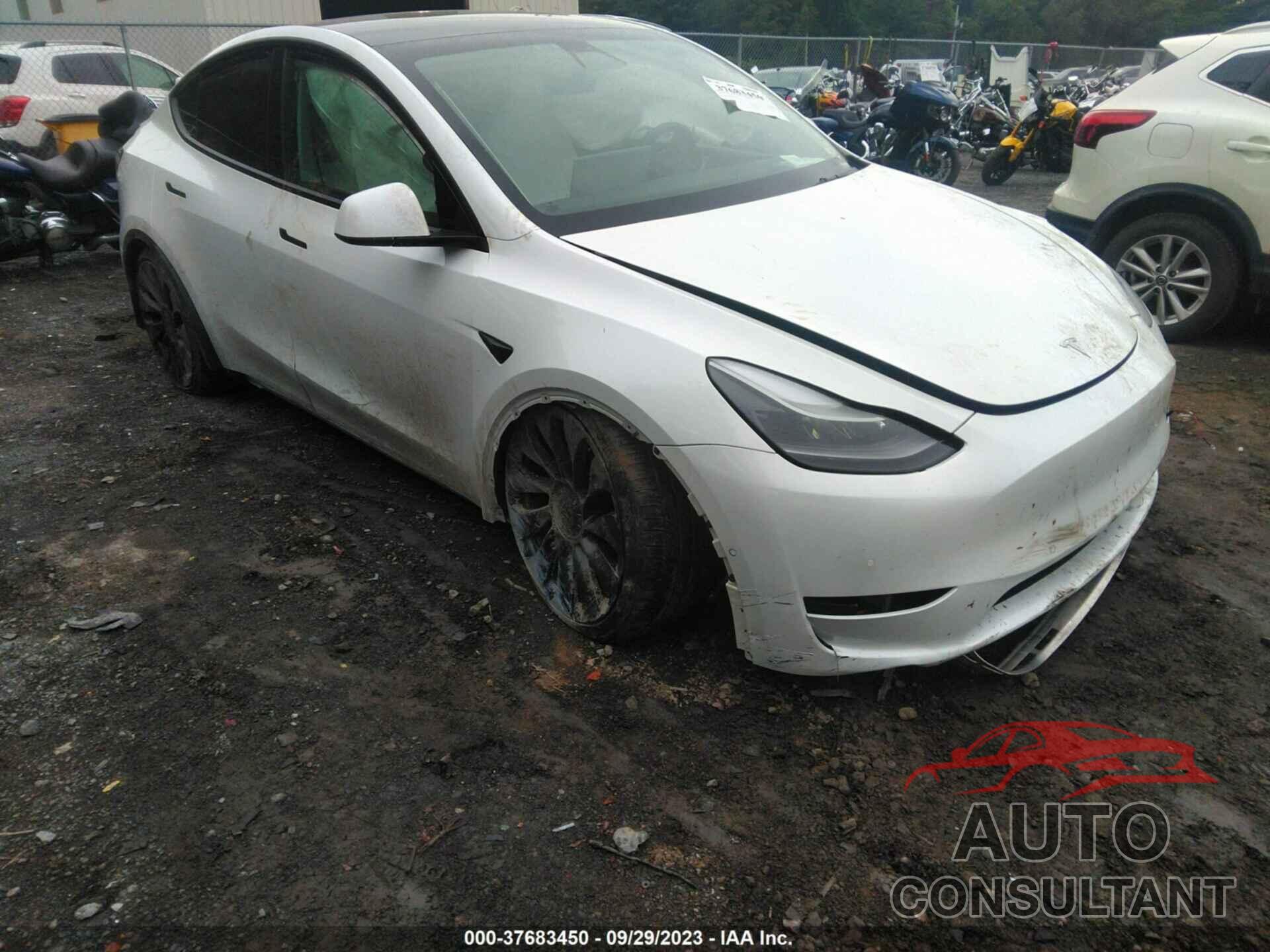 TESLA MODEL Y 2022 - 7SAYGDEF7NF381165