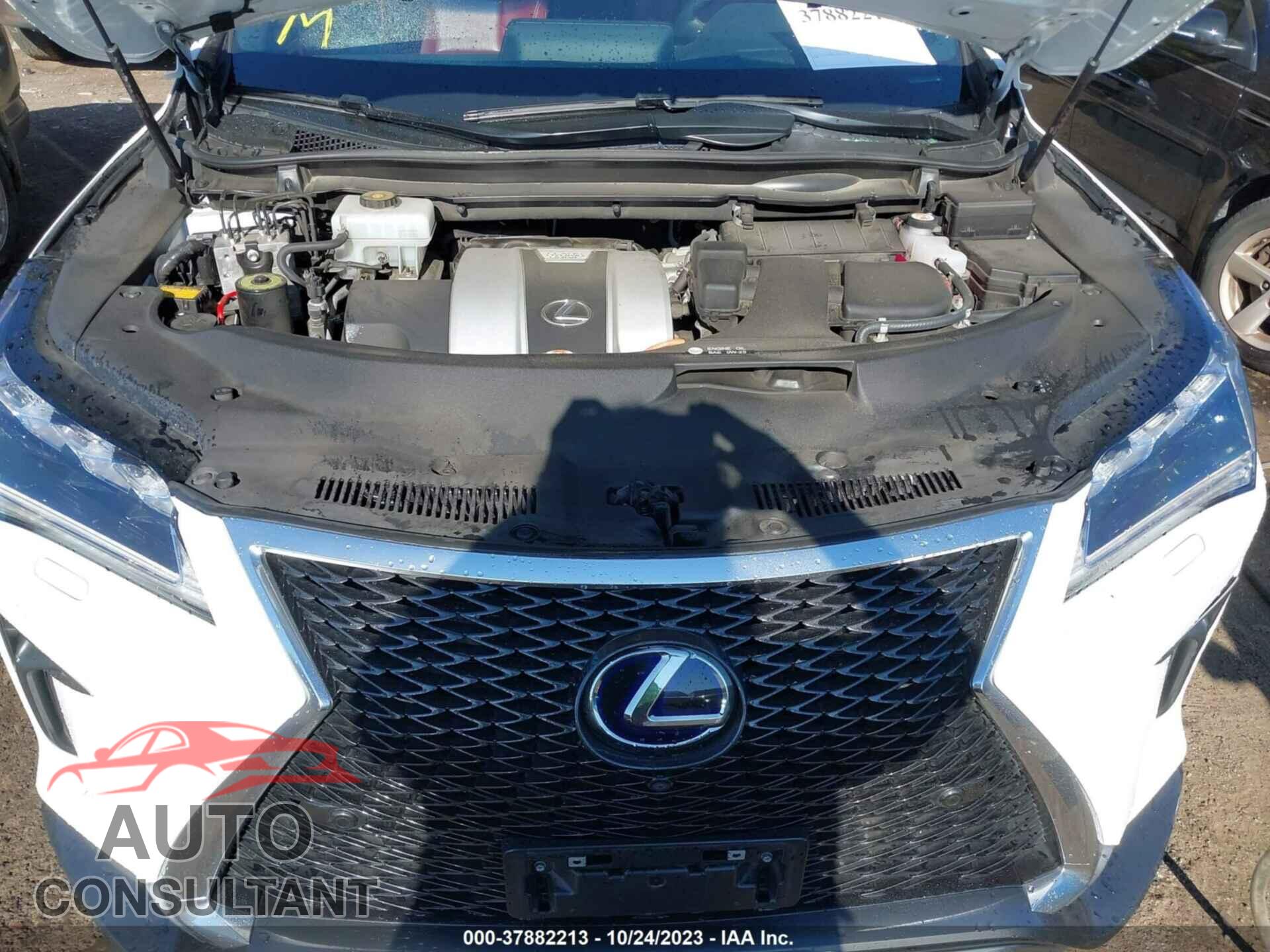 LEXUS RX 2019 - 2T2BGMCA3KC035278