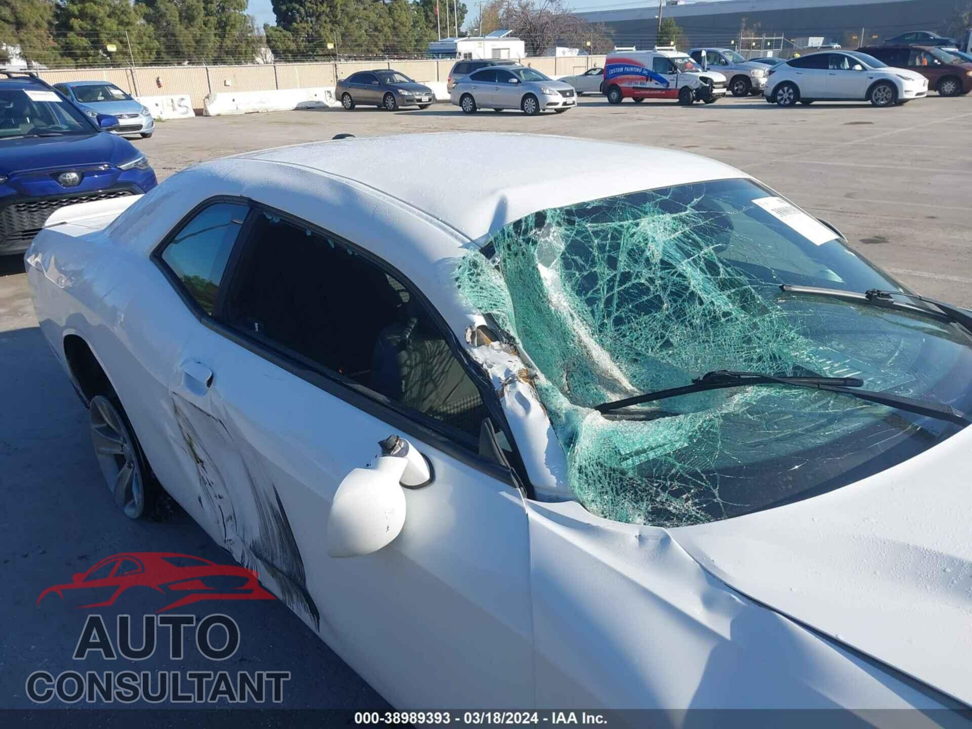 DODGE CHALLENGER 2019 - 2C3CDZAG4KH723399