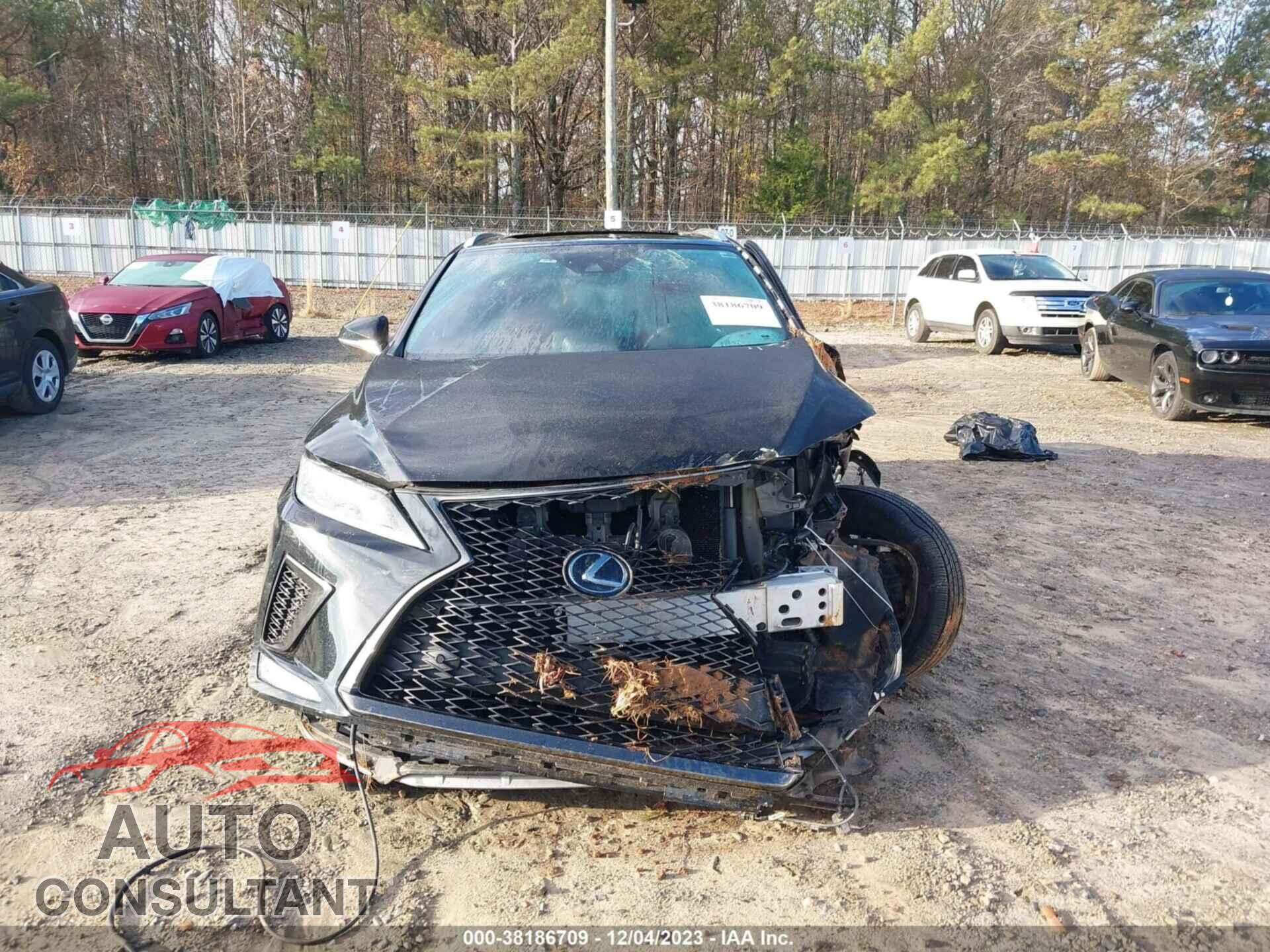 LEXUS RX 2020 - 2T2YZMDA8LC242561