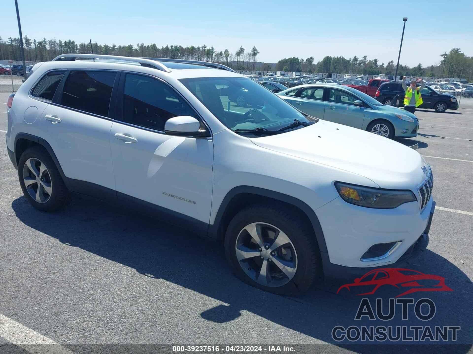 JEEP CHEROKEE 2019 - 1C4PJMDX4KD255143