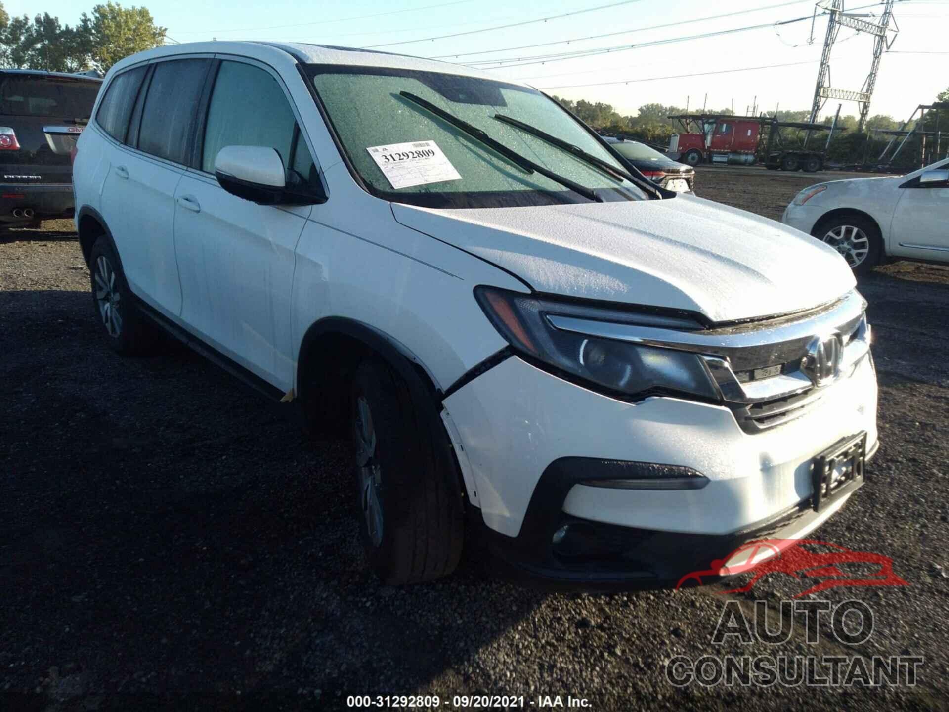HONDA PILOT 2021 - 5FNYF6H52MB064665