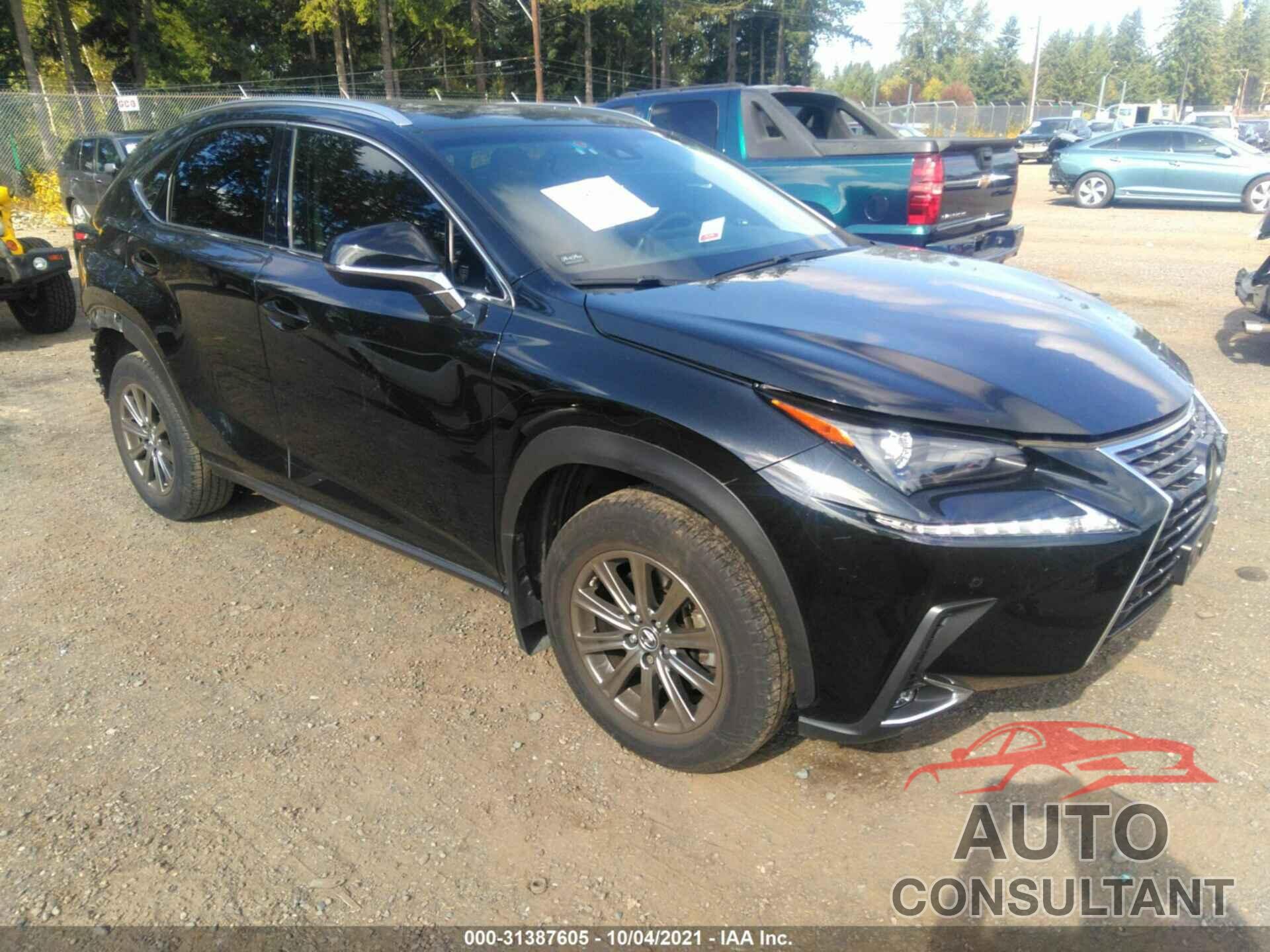 LEXUS NX 2019 - JTJYARBZ7K2137635