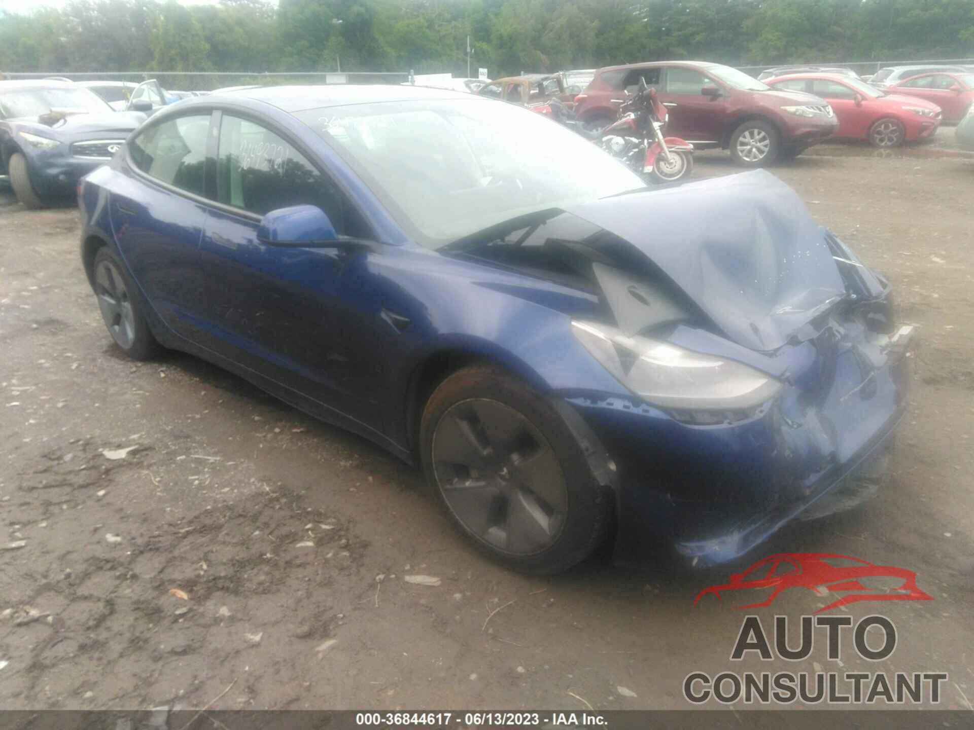 TESLA MODEL 3 2021 - 5YJ3E1EB1MF919141