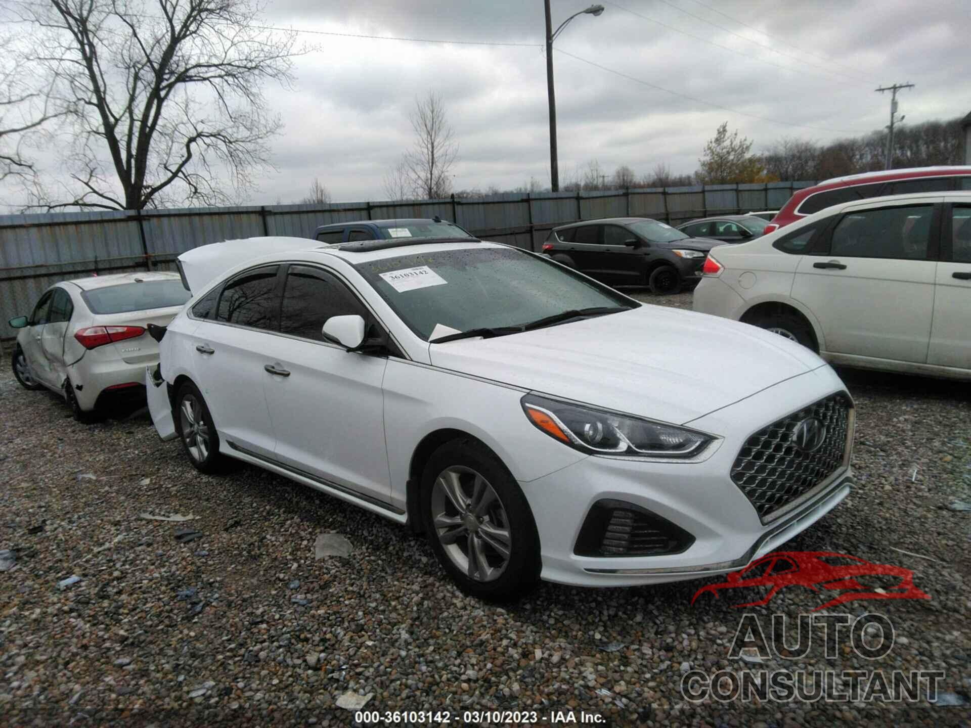 HYUNDAI SONATA 2019 - 5NPE34AFXKH820681