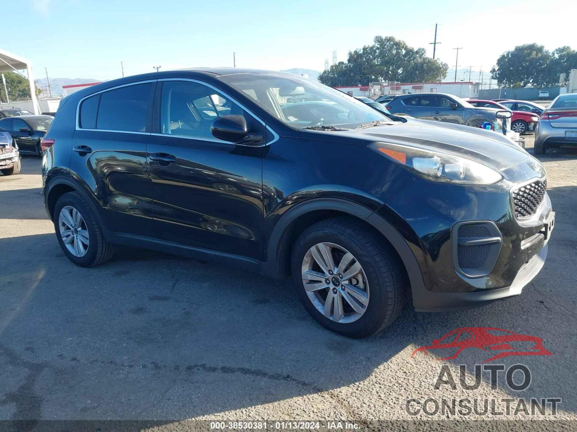 KIA SPORTAGE 2017 - KNDPM3AC6H7235504
