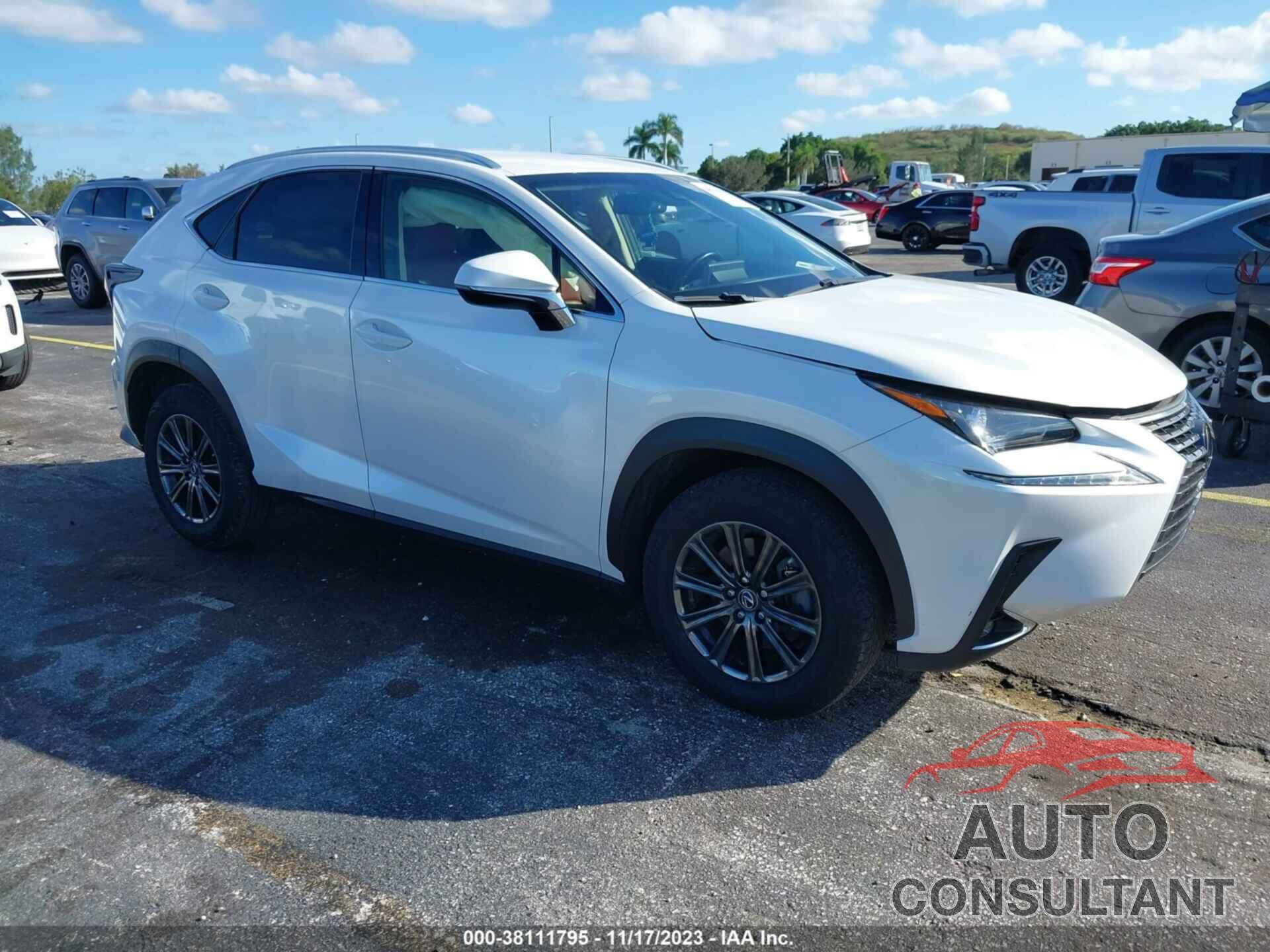 LEXUS NX 300 2019 - JTJYARBZ1K2137212