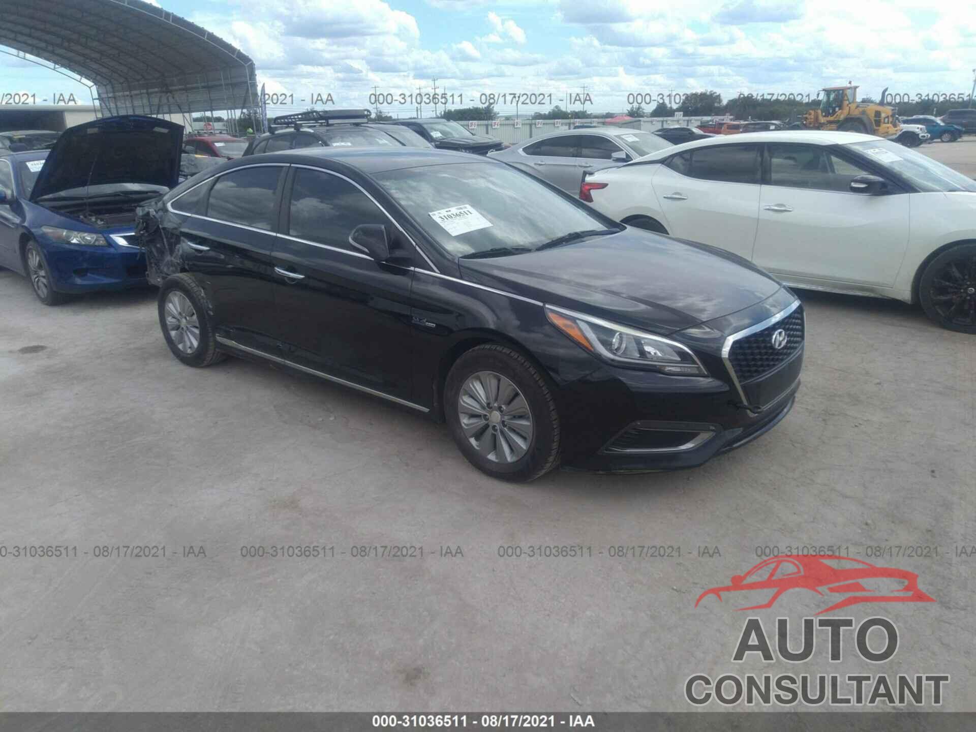 HYUNDAI SONATA HYBRID 2016 - KMHE24L19GA015897