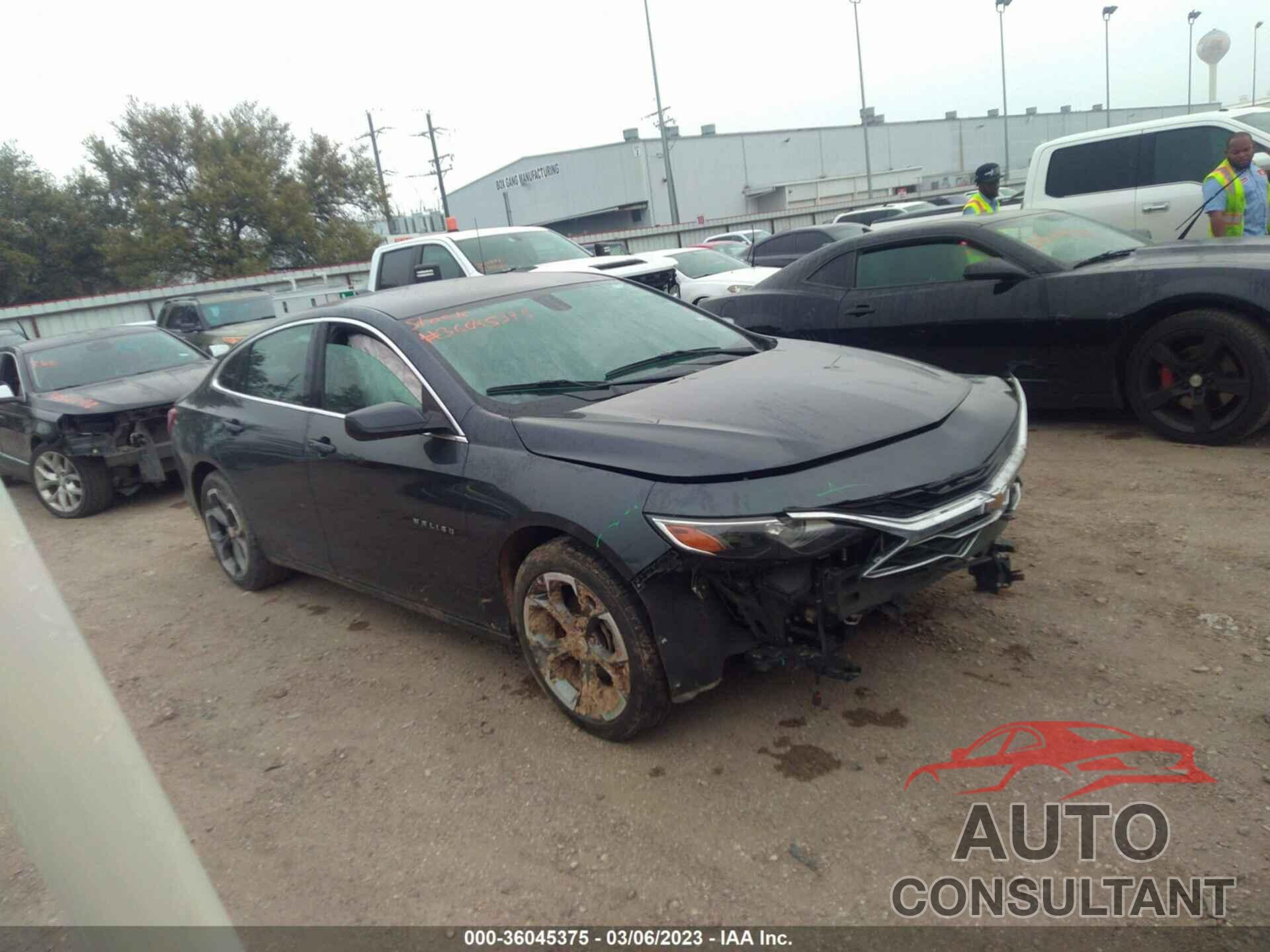 CHEVROLET MALIBU 2021 - 1G1ZD5ST9MF075243