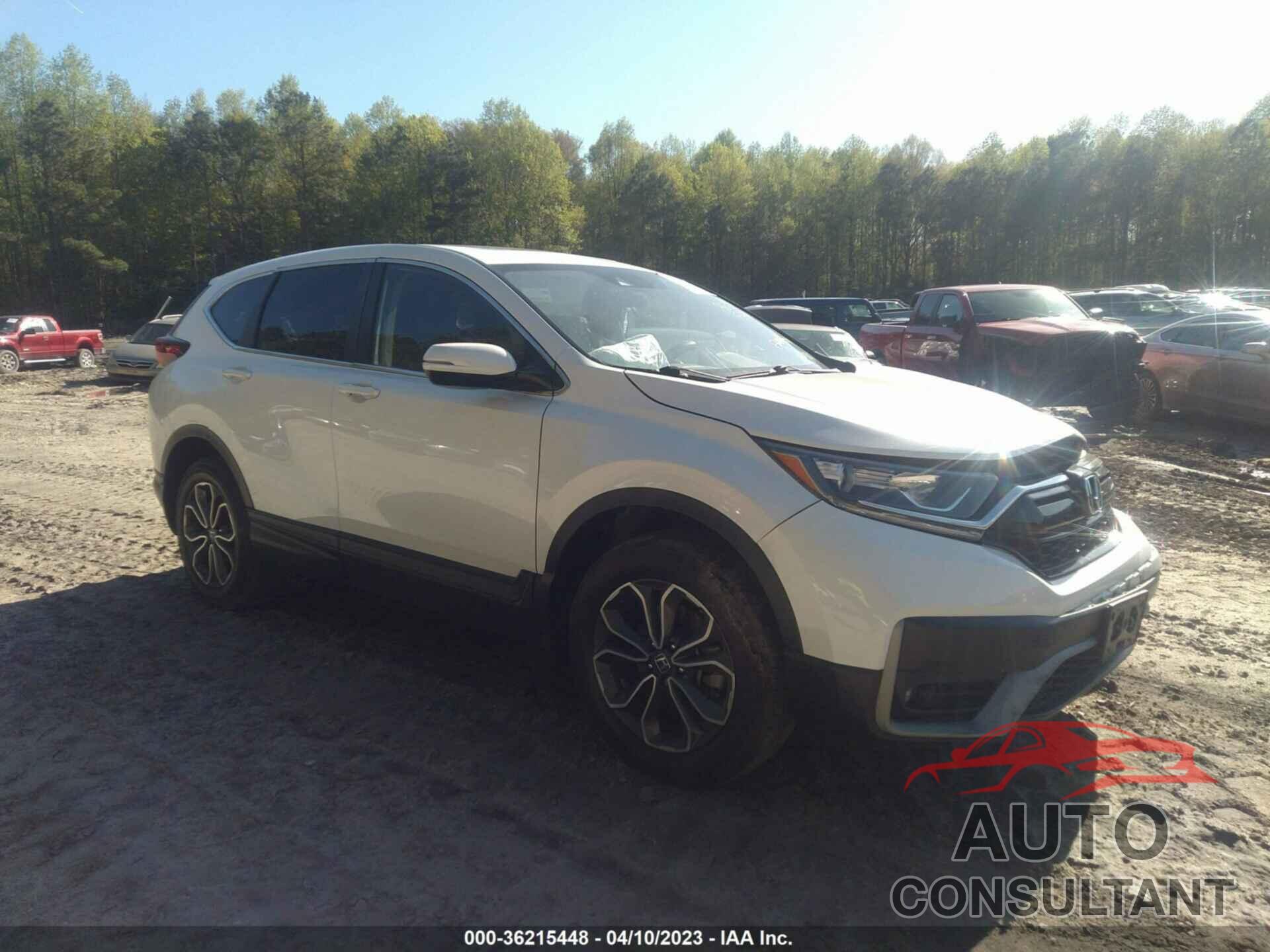 HONDA CR-V 2021 - 5J6RW2H50MA012502