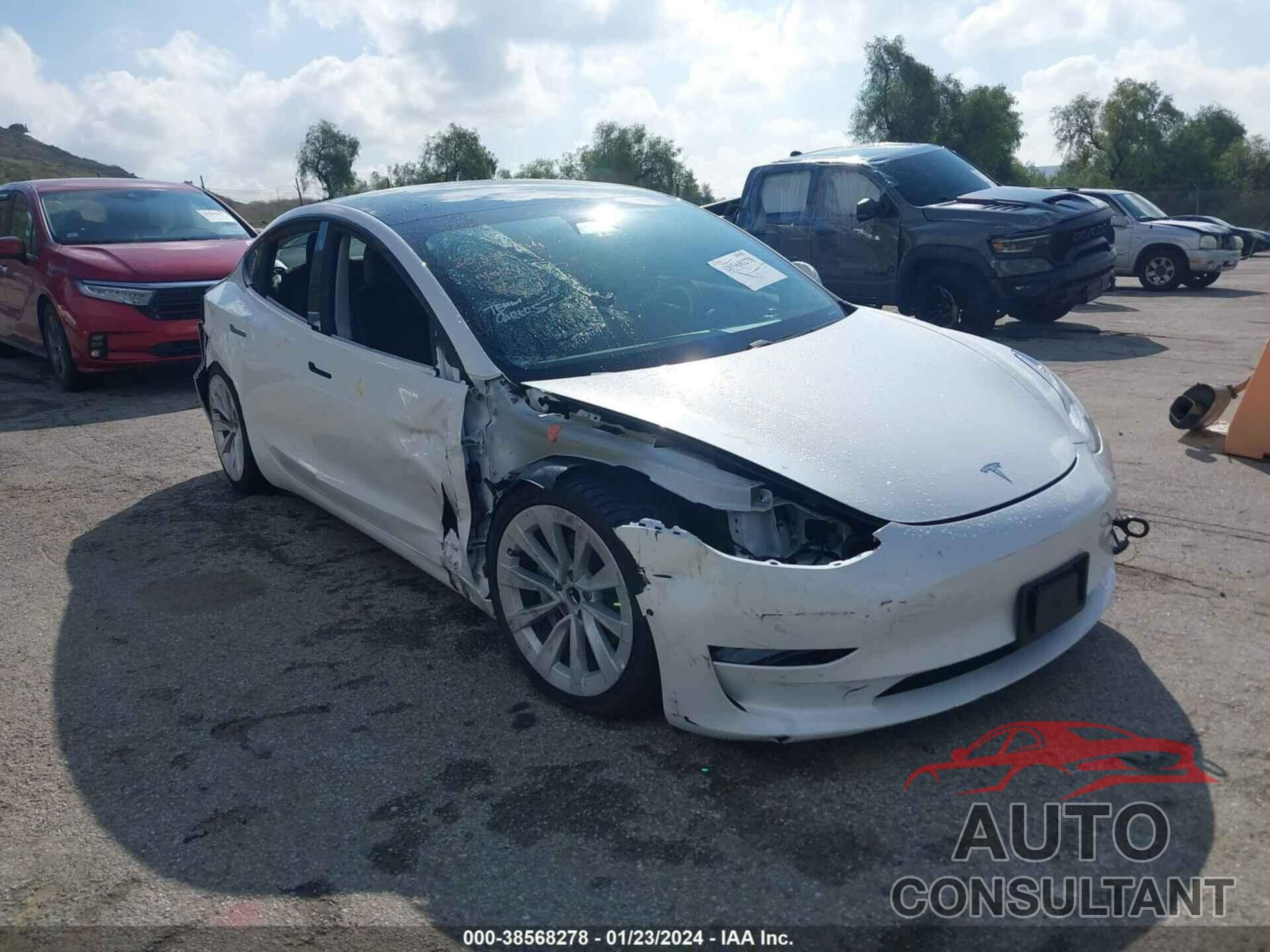 TESLA MODEL 3 2021 - 5YJ3E1EA9MF991552