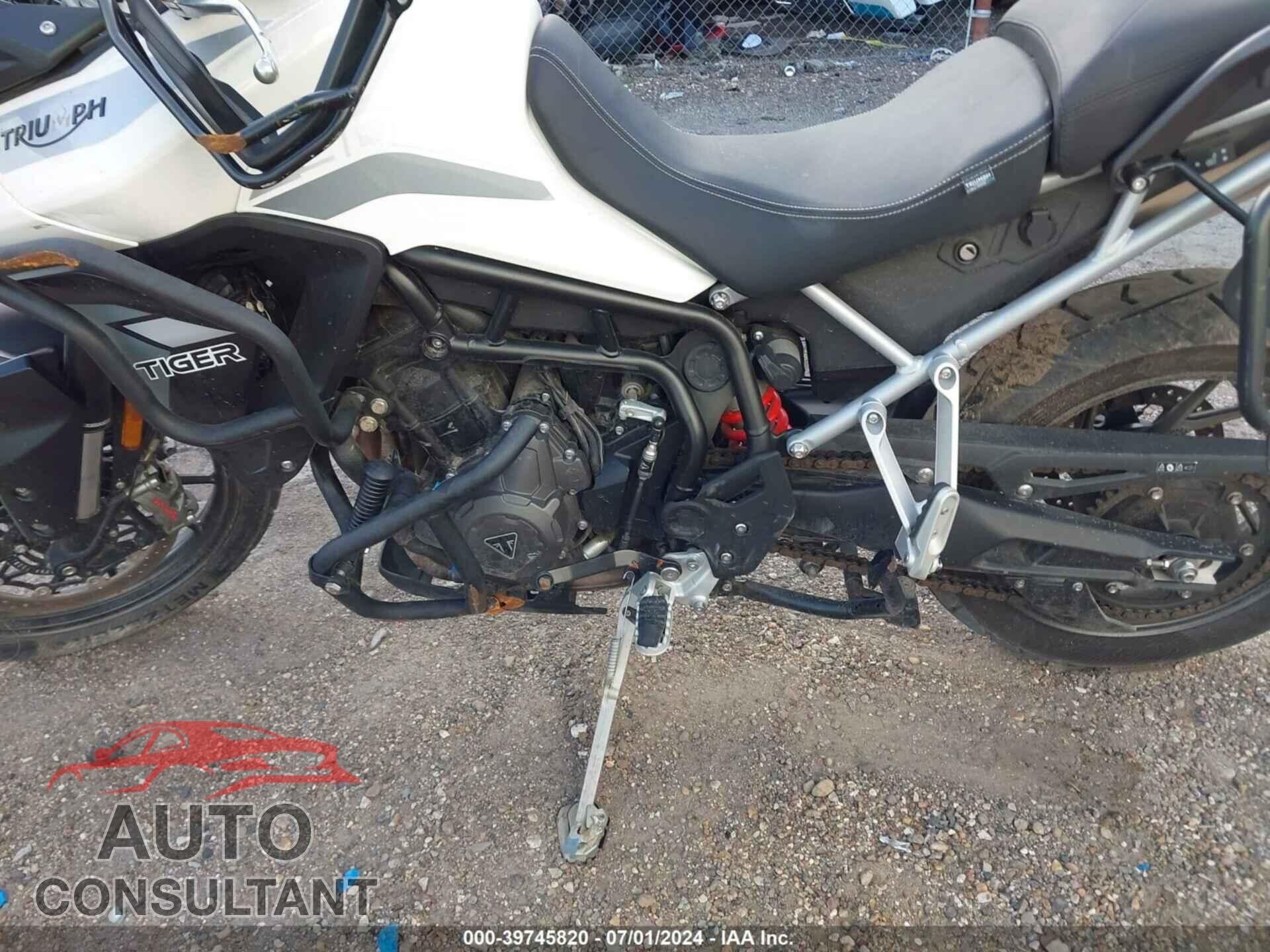 TRIUMPH MOTORCYCLE TIGER 2023 - SMTE64DF7PTBD0201
