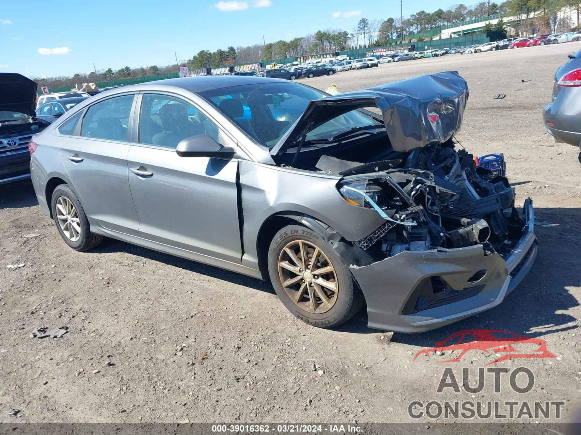 HYUNDAI SONATA 2019 - 5NPE24AF7KH743996