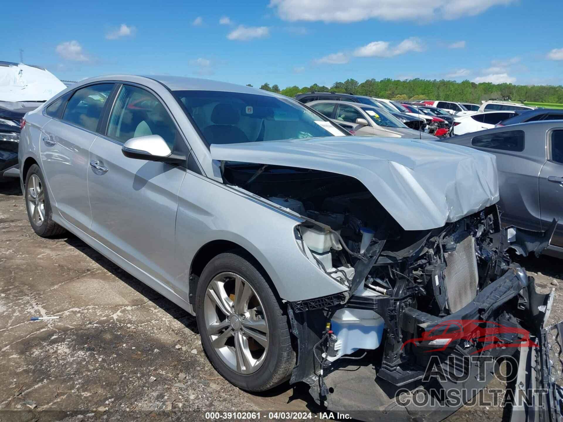HYUNDAI SONATA 2019 - 5NPE34AF8KH777829