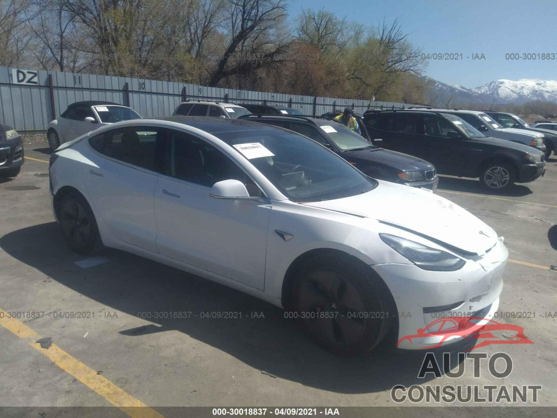 TESLA MODEL 3 2019 - 5YJ3E1EB1KF494159