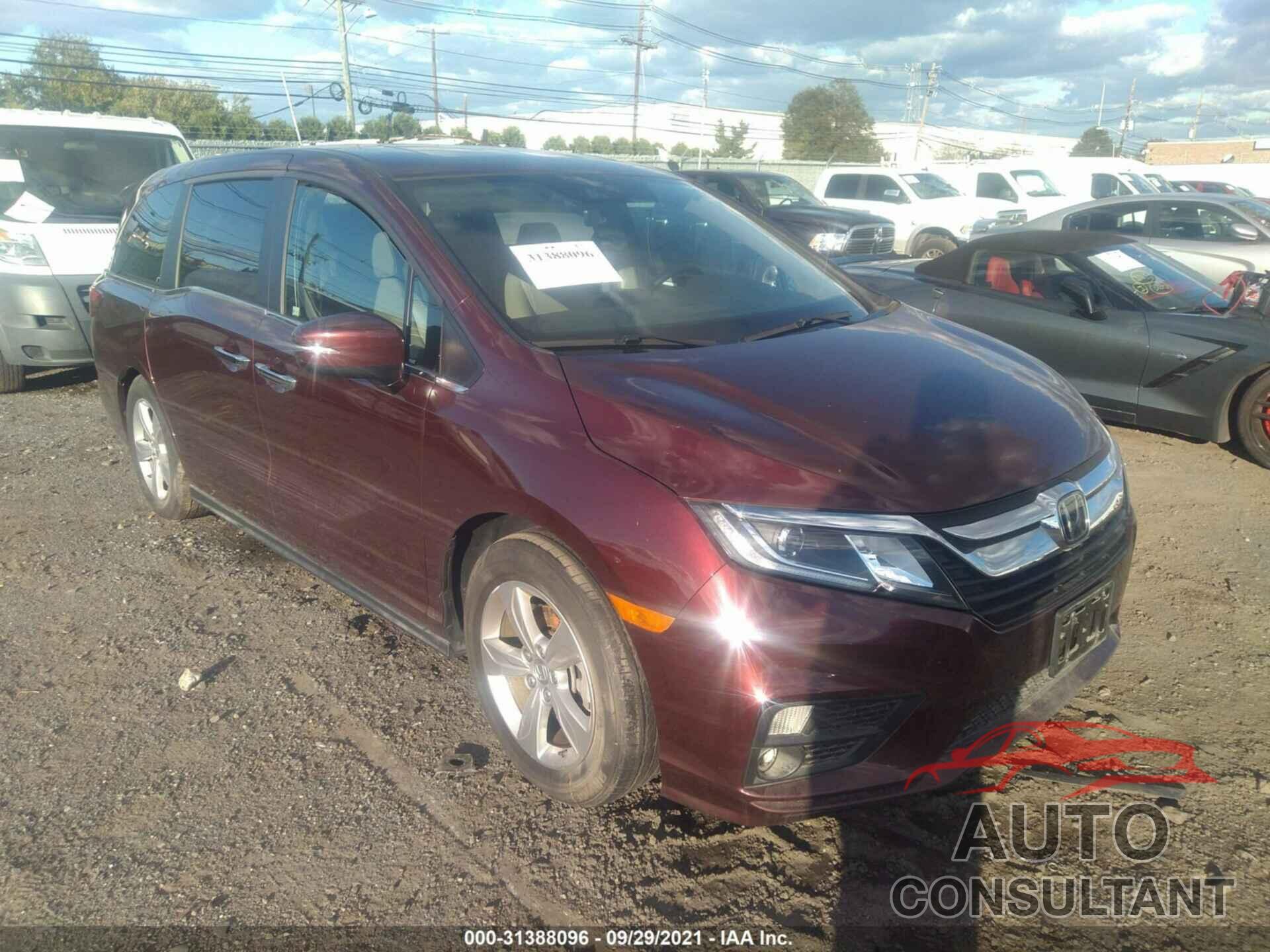 HONDA ODYSSEY 2019 - 5FNRL6H77KB116433