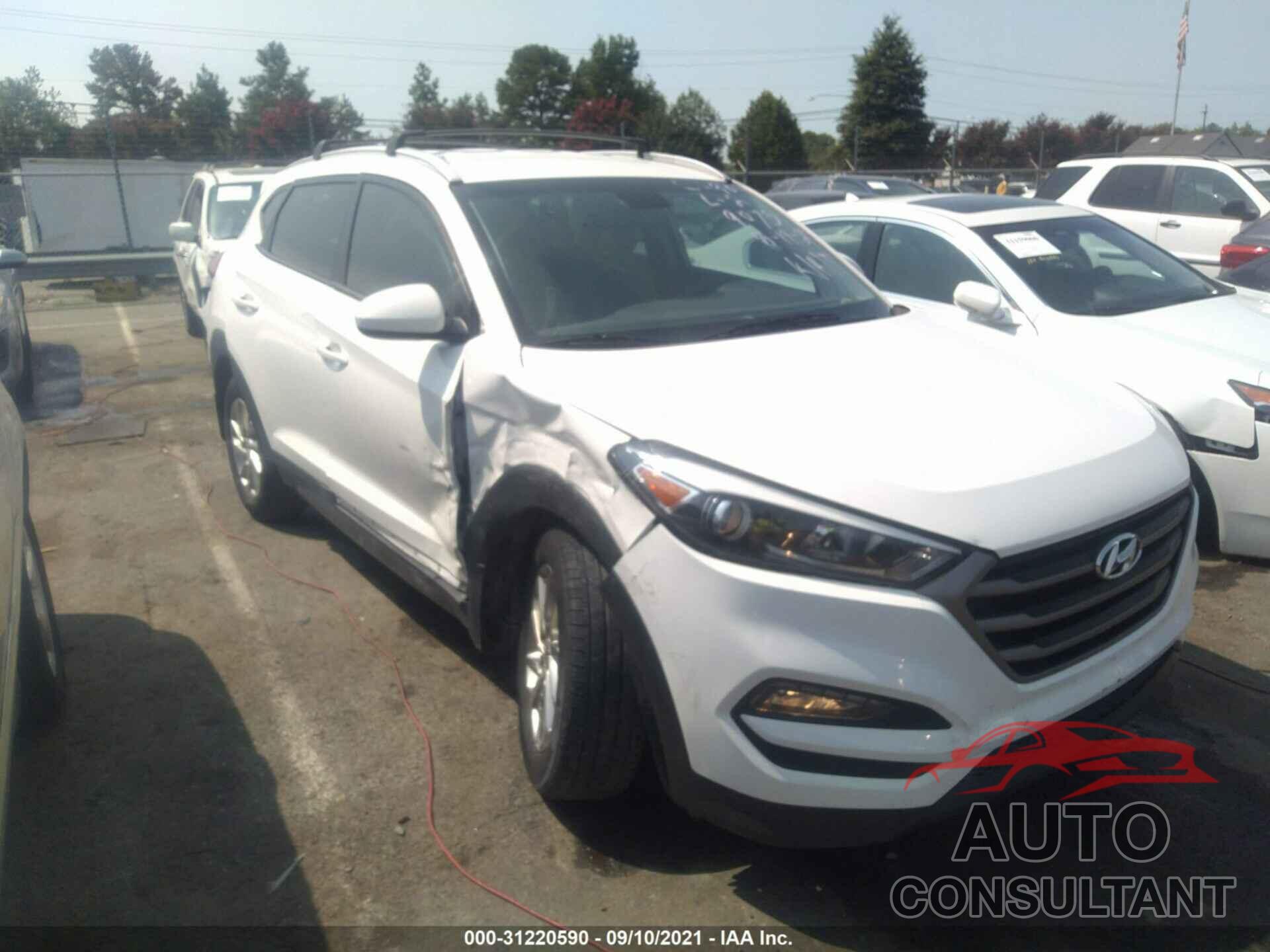 HYUNDAI TUCSON 2016 - KM8J33A41GU259075