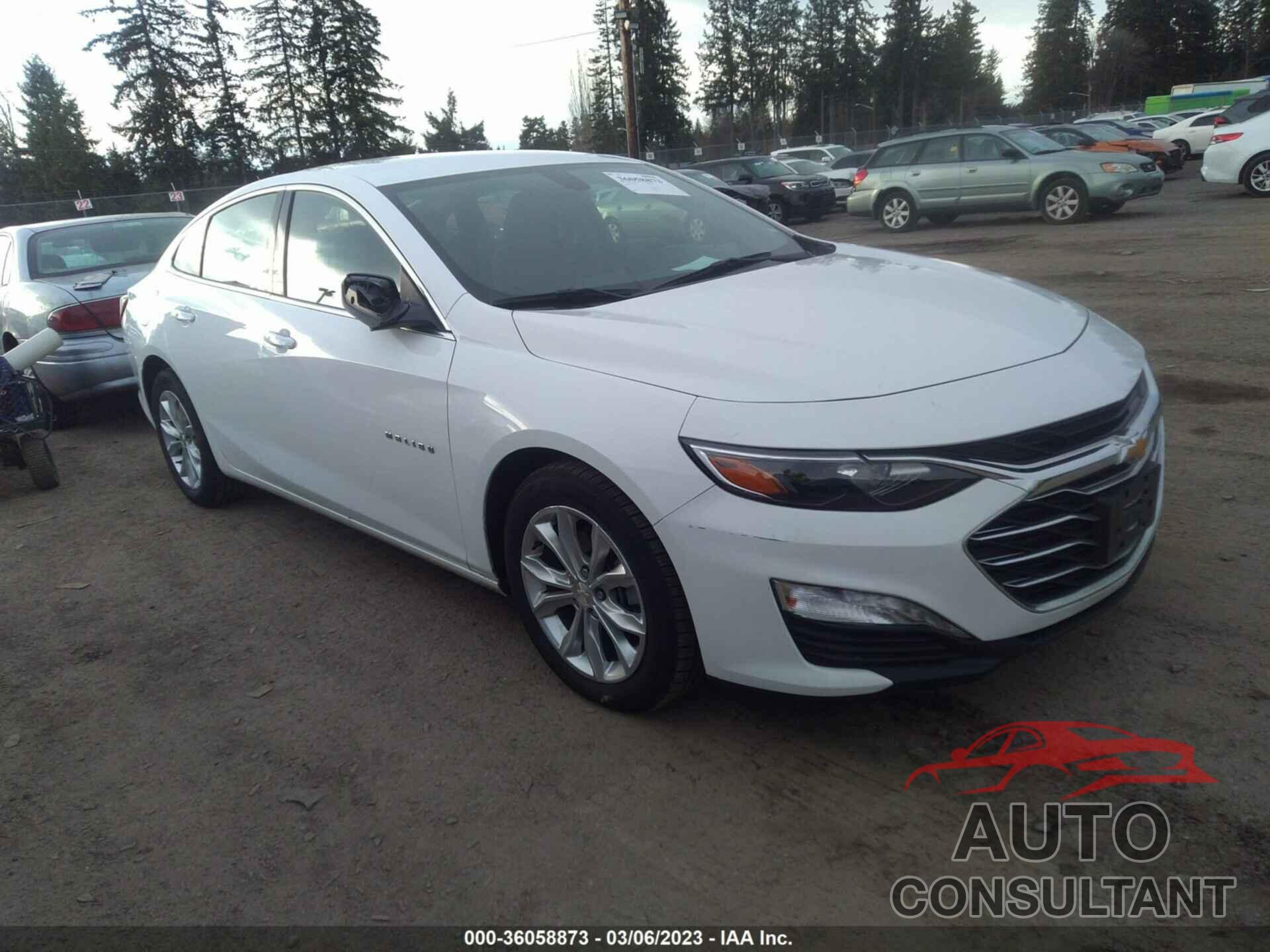 CHEVROLET MALIBU 2021 - 1G1ZD5ST7MF024761