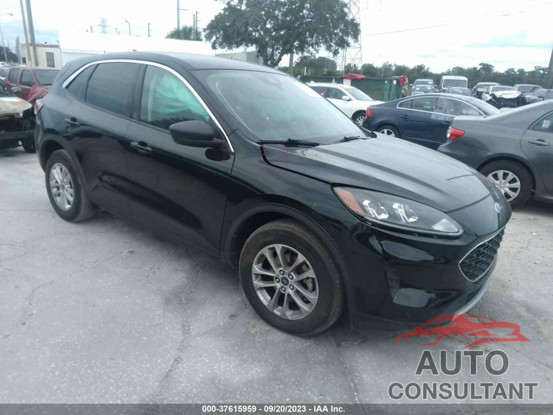 FORD ESCAPE 2022 - 1FMCU0G67NUB31448