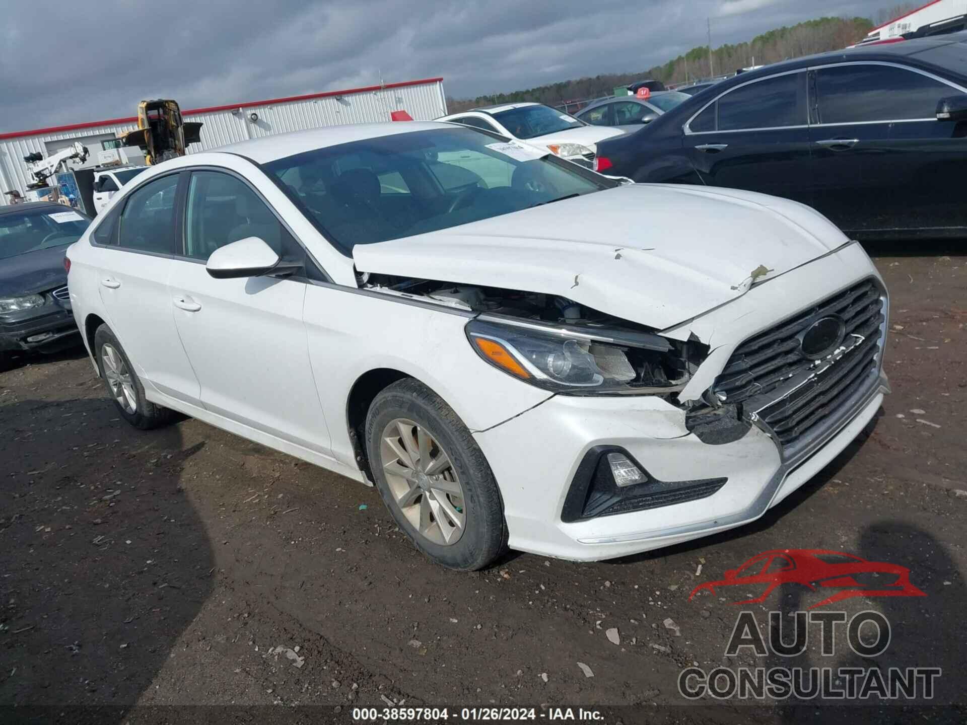 HYUNDAI SONATA 2019 - 5NPE24AF1KH815615