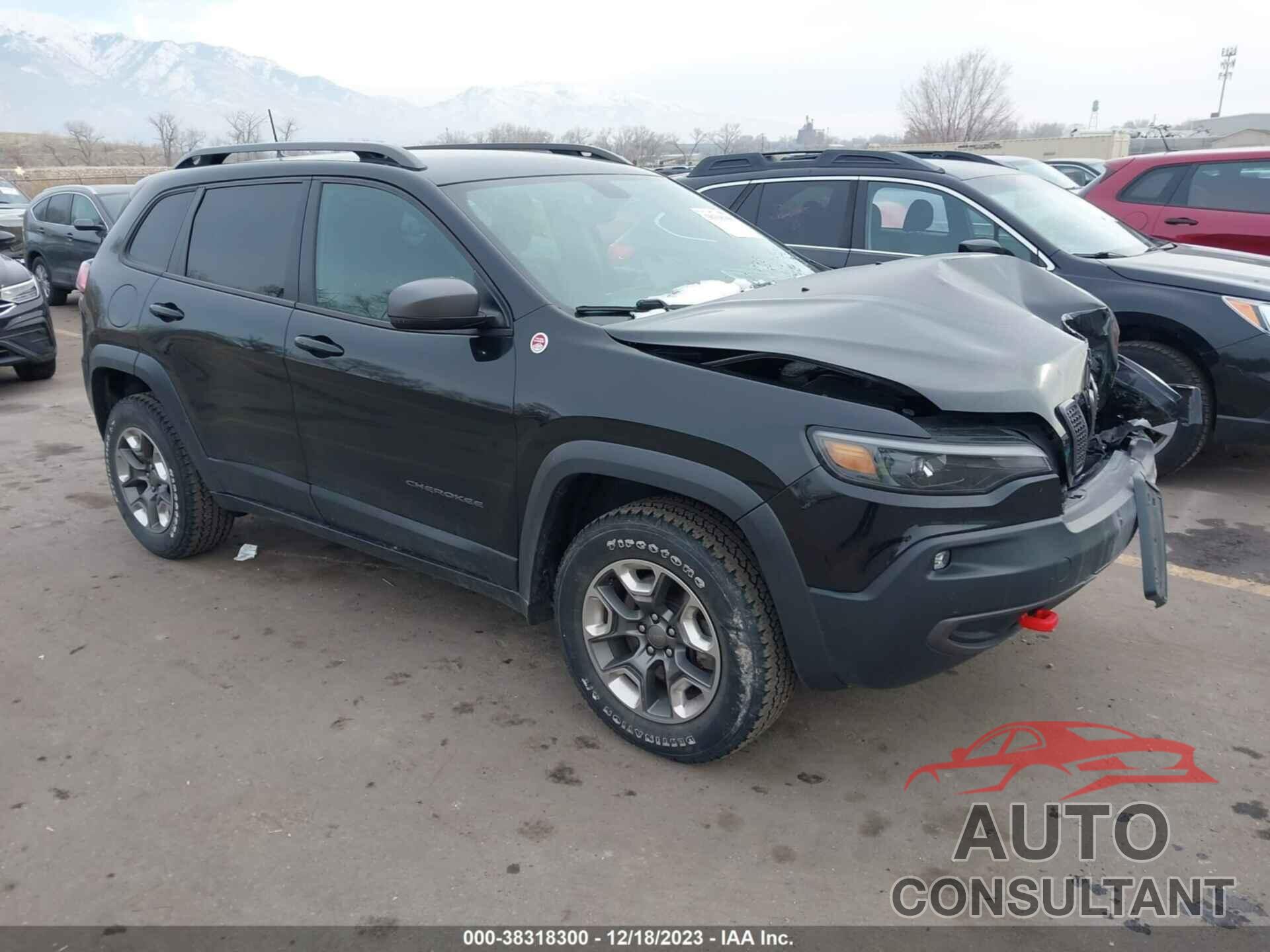 JEEP CHEROKEE 2019 - 1C4PJMBX2KD216764