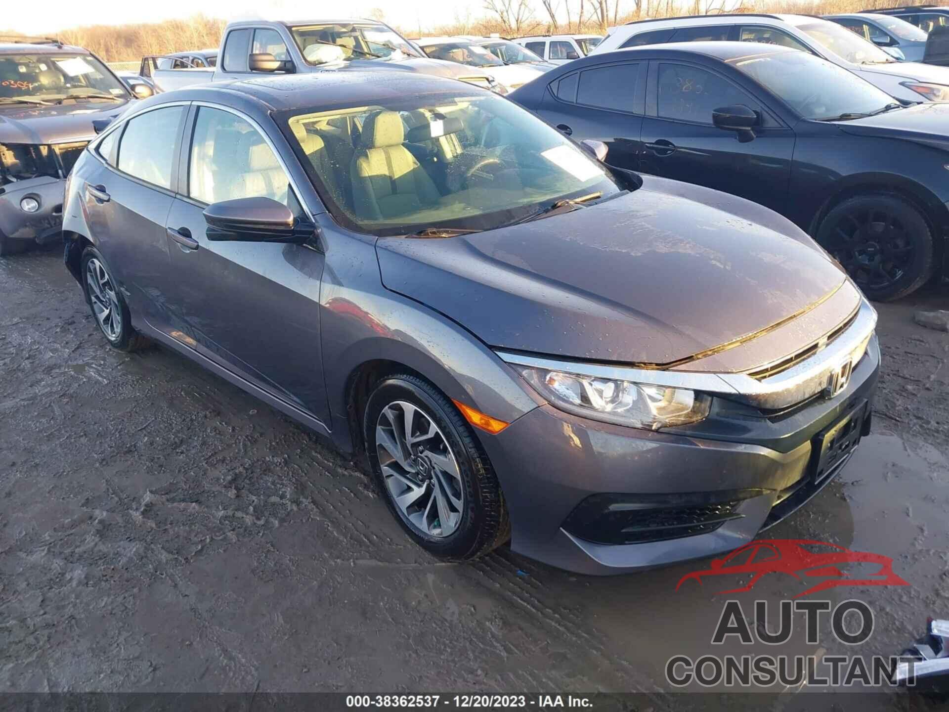 HONDA CIVIC 2017 - 2HGFC2F73HH535334