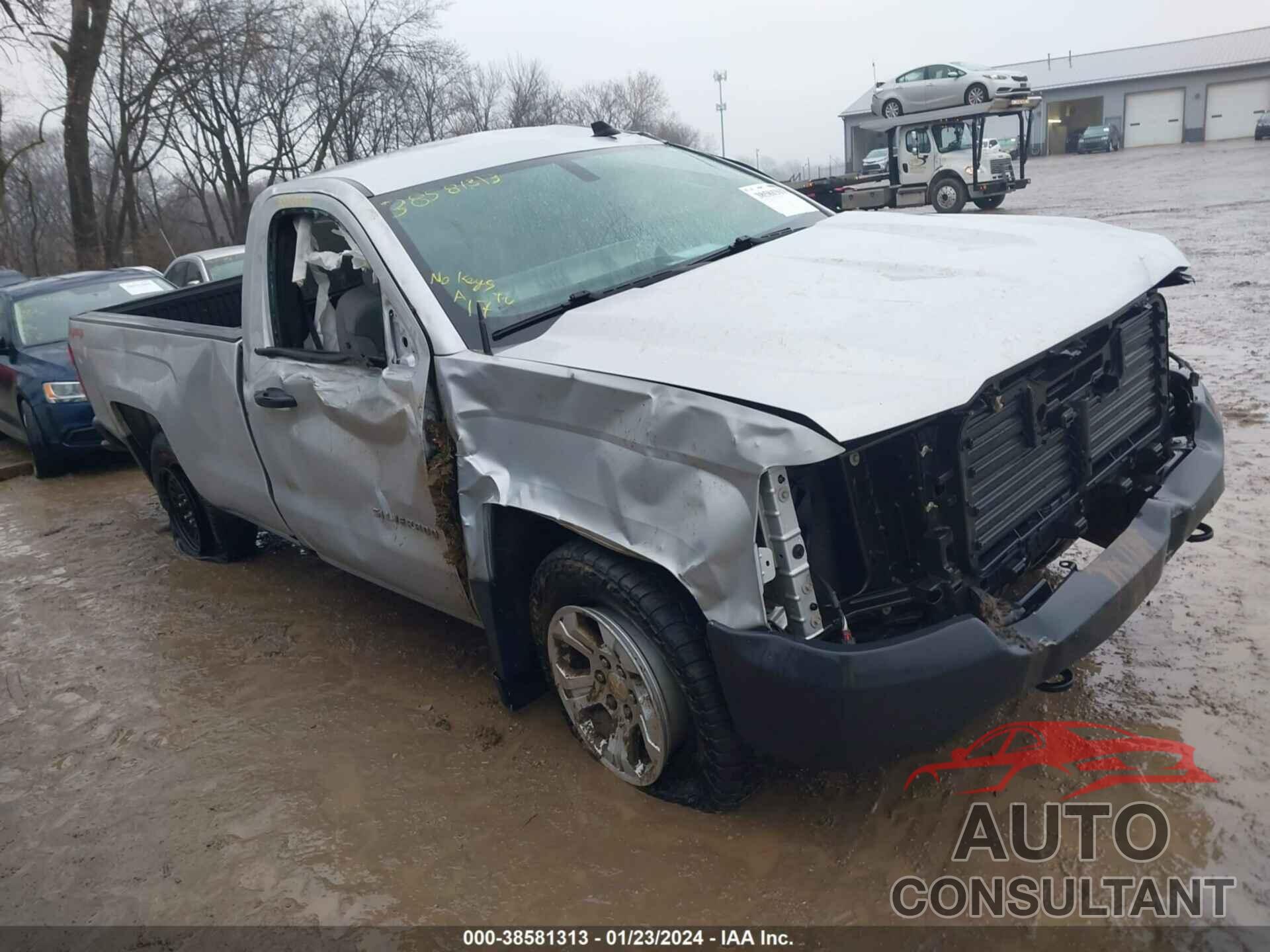 CHEVROLET SILVERADO 1500 2017 - 1GCNKNEC3HZ137408