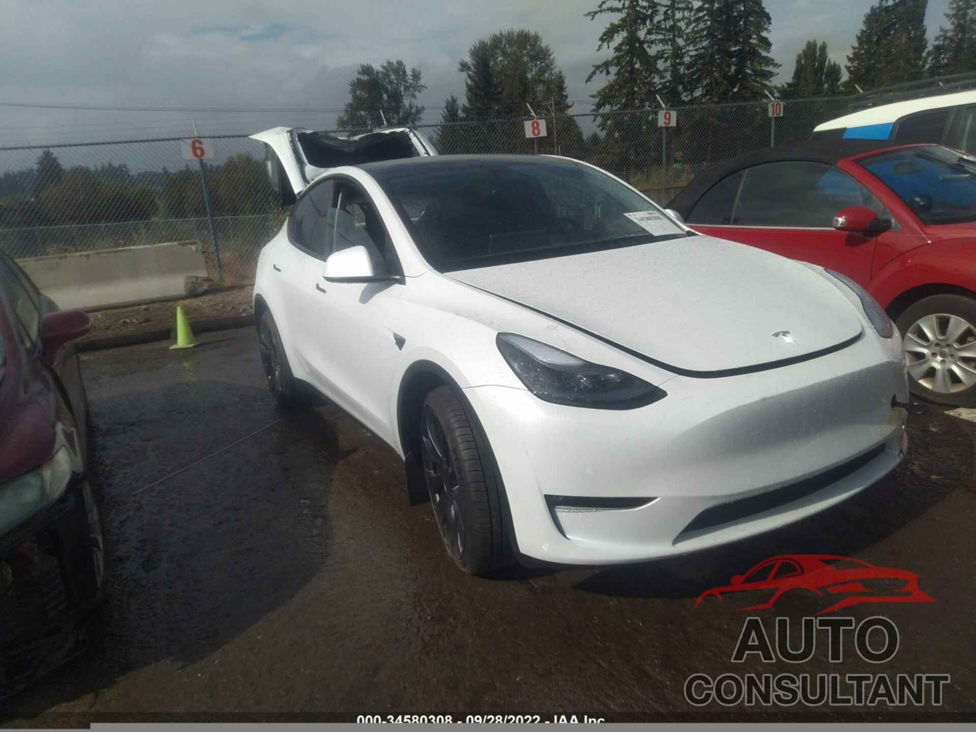 TESLA MODEL Y 2022 - 7SAYGDEF0NF463724