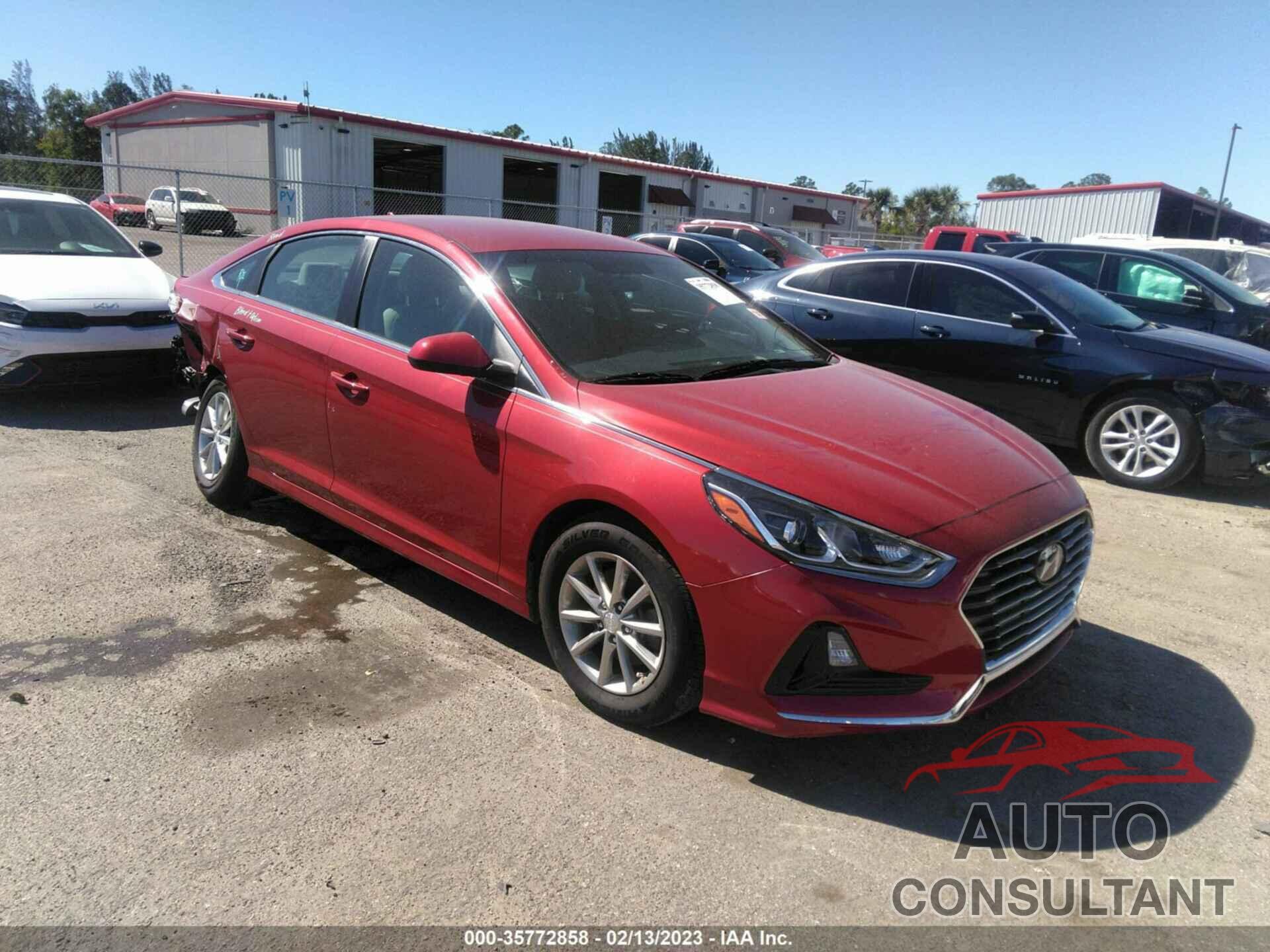 HYUNDAI SONATA 2019 - 5NPE24AFXKH778435