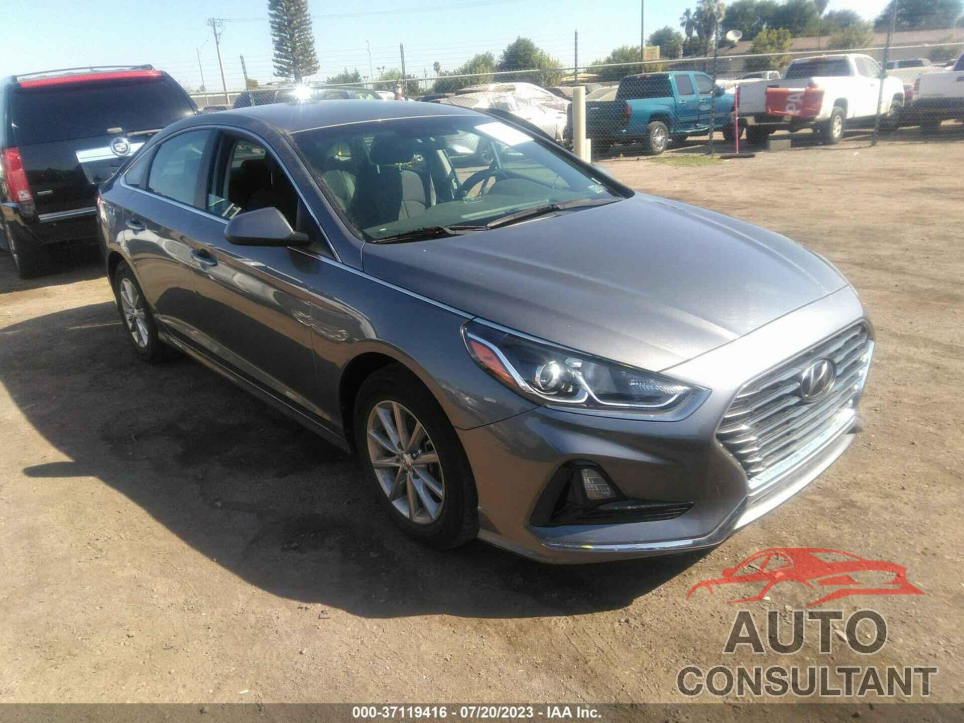 HYUNDAI SONATA 2019 - 5NPE24AF3KH744000