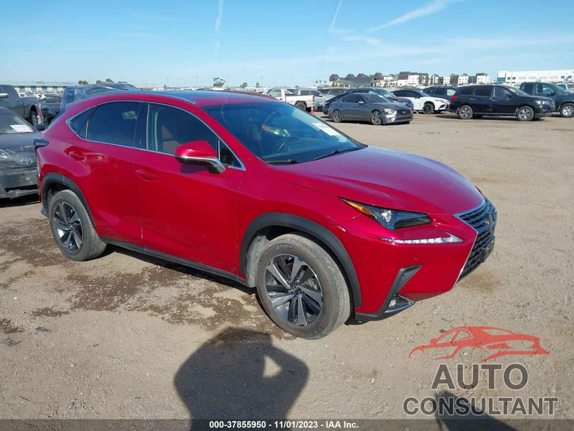 LEXUS NX 2019 - JTJYARBZ8K2147977