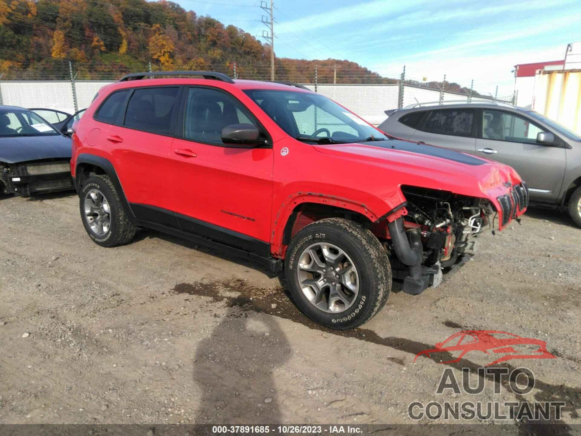 JEEP CHEROKEE 2019 - 1C4PJMBX0KD255336