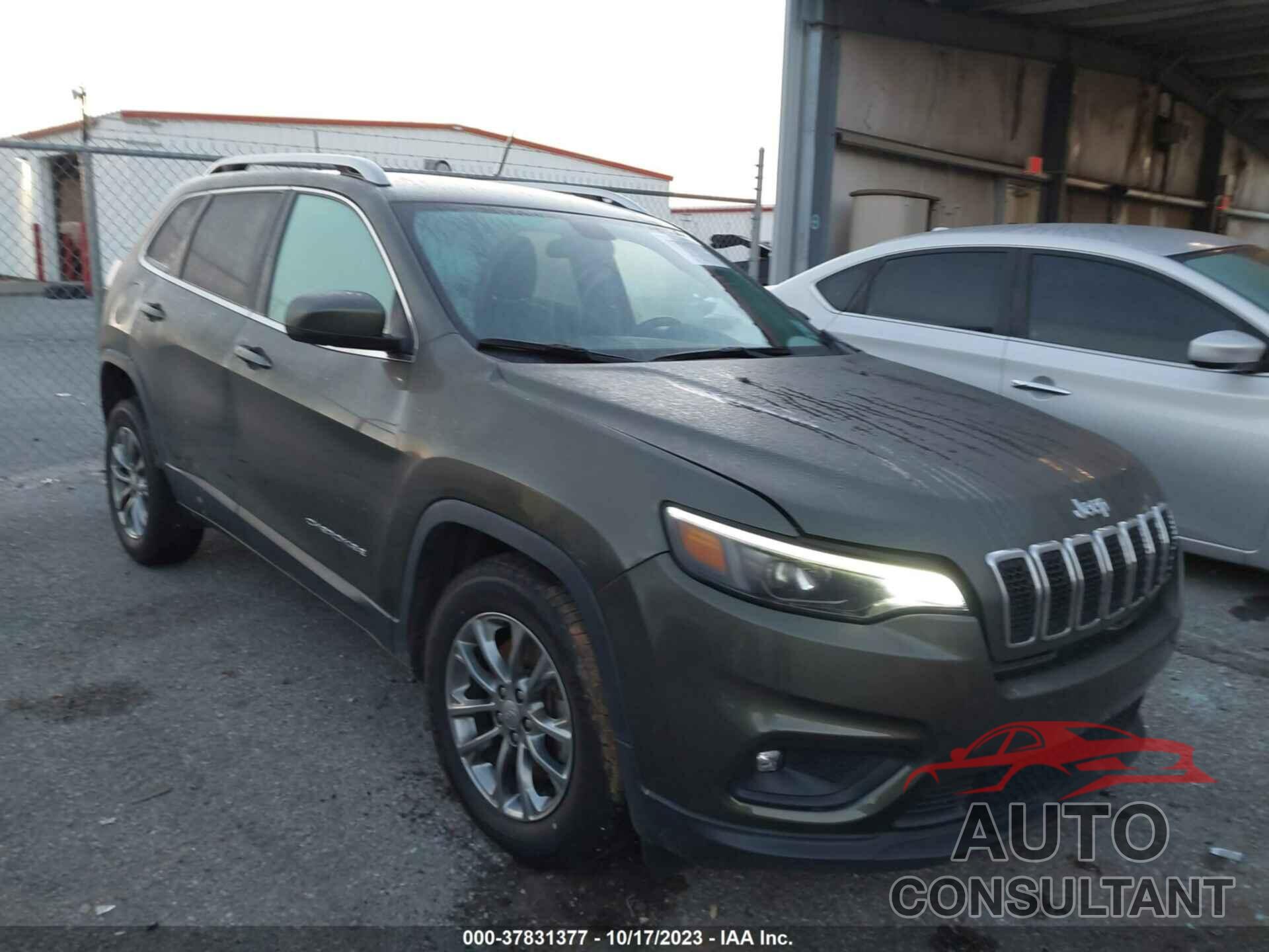 JEEP CHEROKEE 2019 - 1C4PJMLB3KD441696