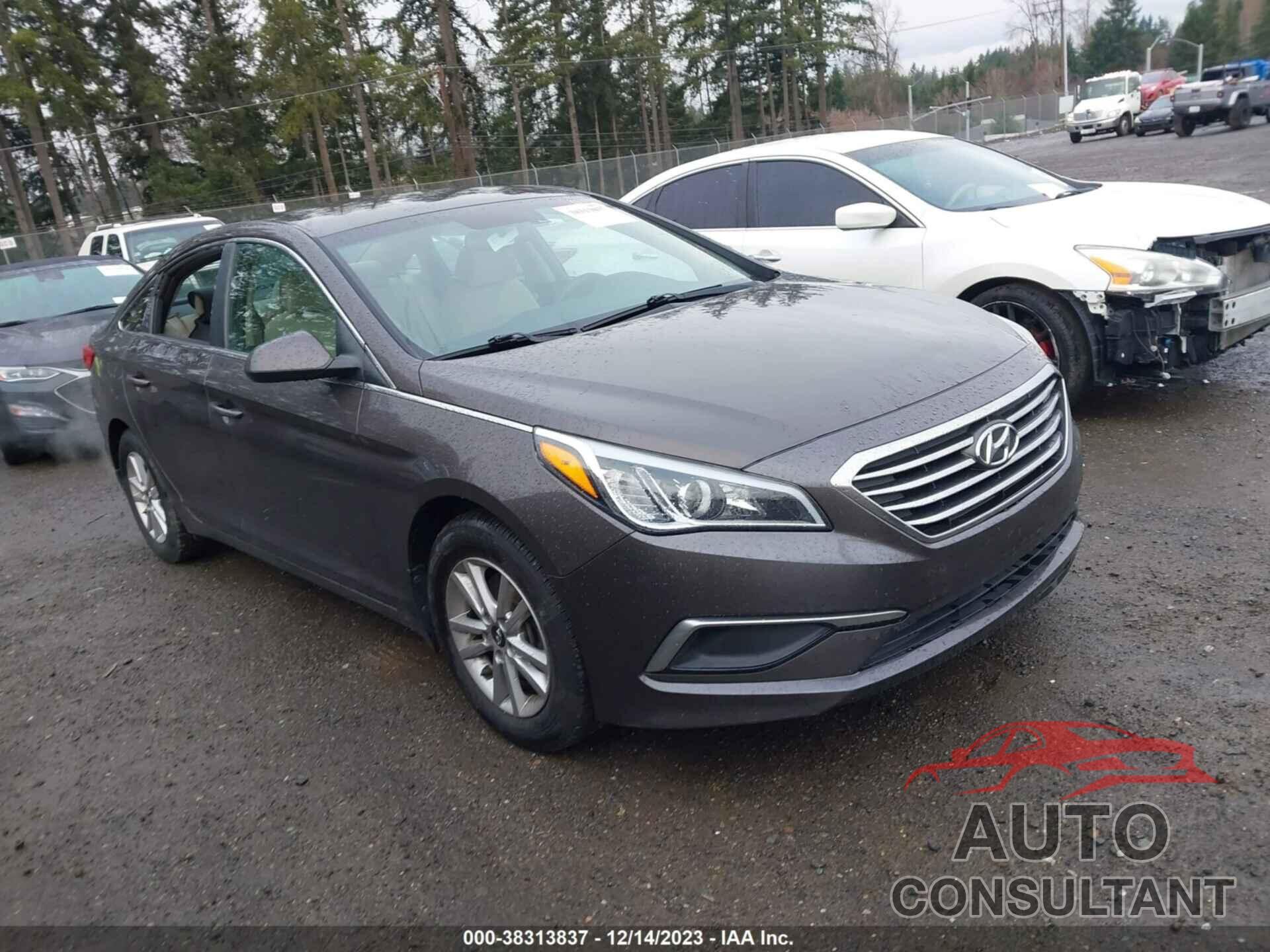 HYUNDAI SONATA 2016 - 5NPE24AF9GH370130
