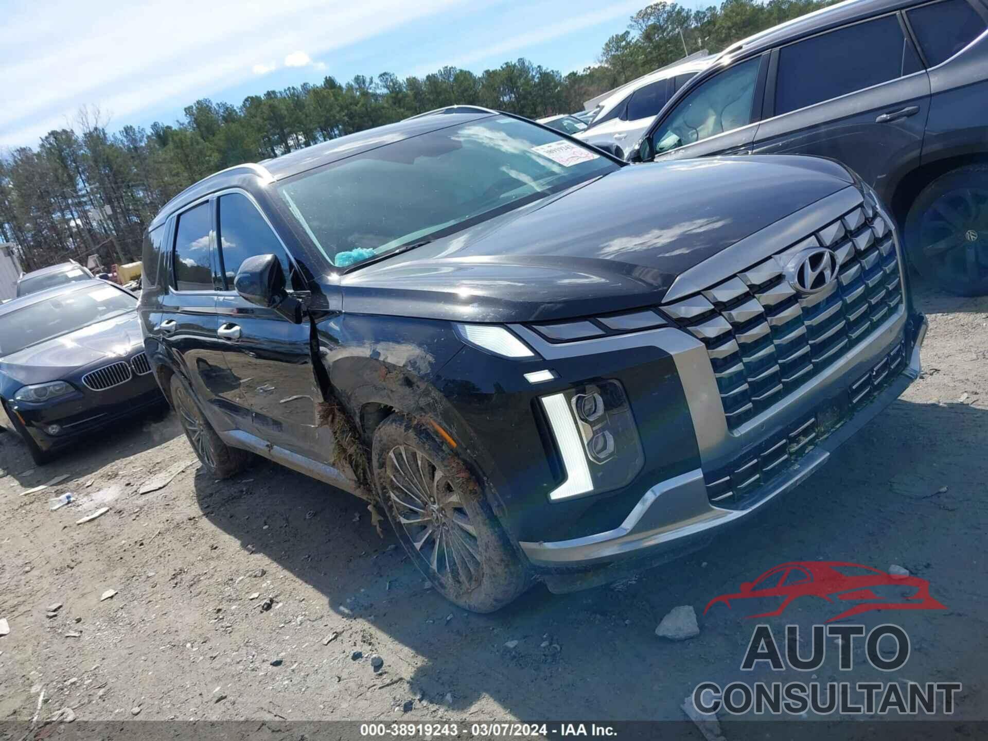 HYUNDAI PALISADE 2023 - KM8R74GE1PU533789