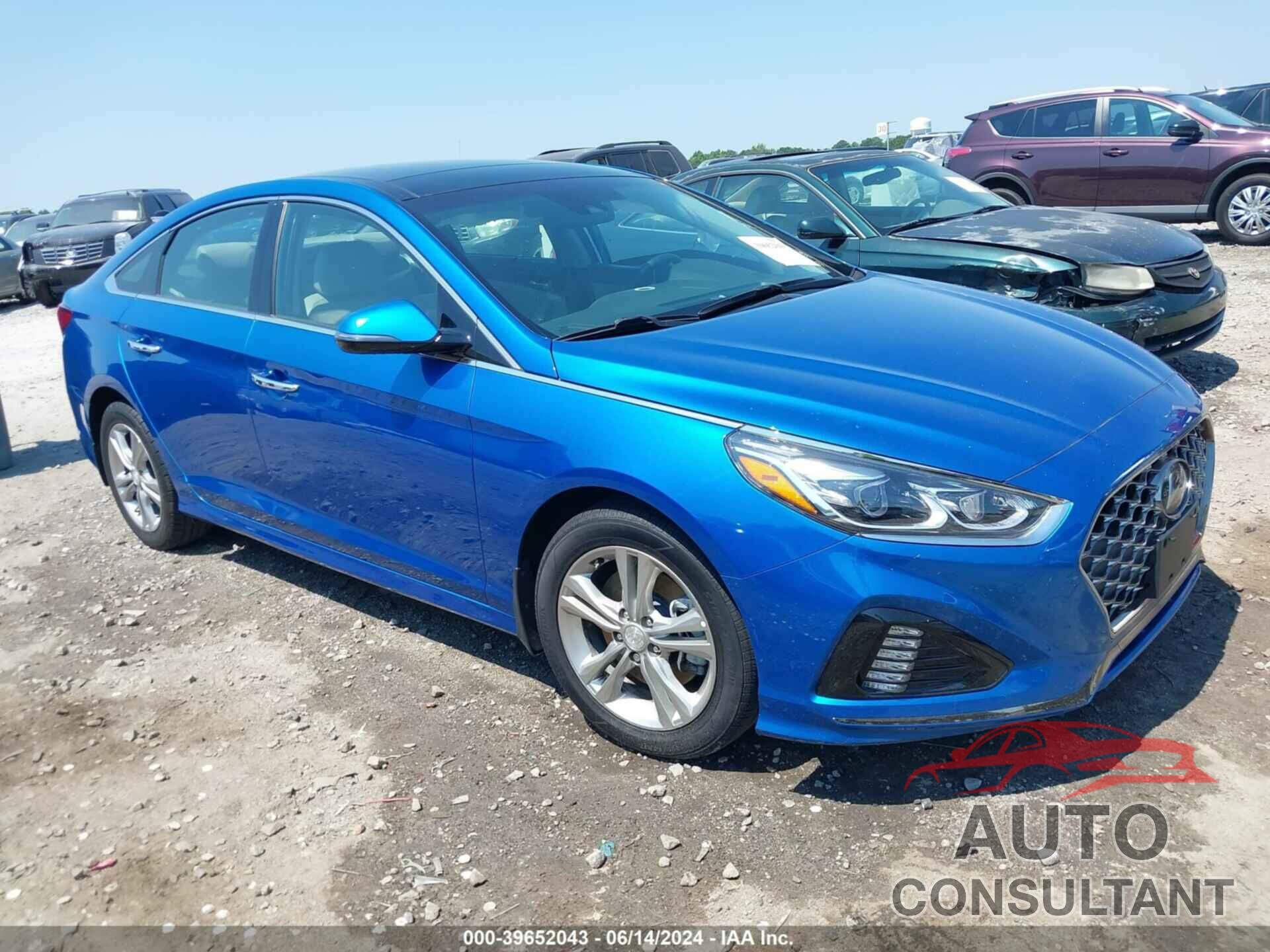 HYUNDAI SONATA 2019 - 5NPE34AF2KH736158