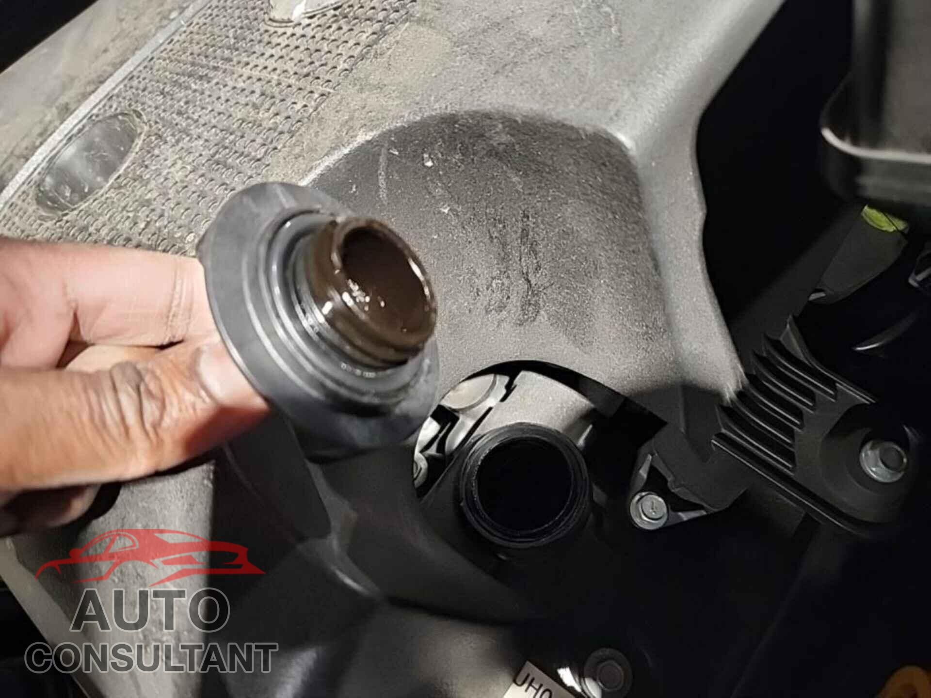 NISSAN MURANO 2022 - 5N1AZ2ASXNC123473