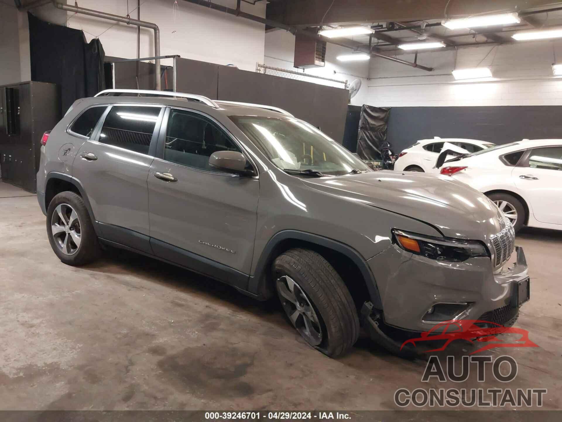 JEEP CHEROKEE 2019 - 1C4PJMDX4KD390252