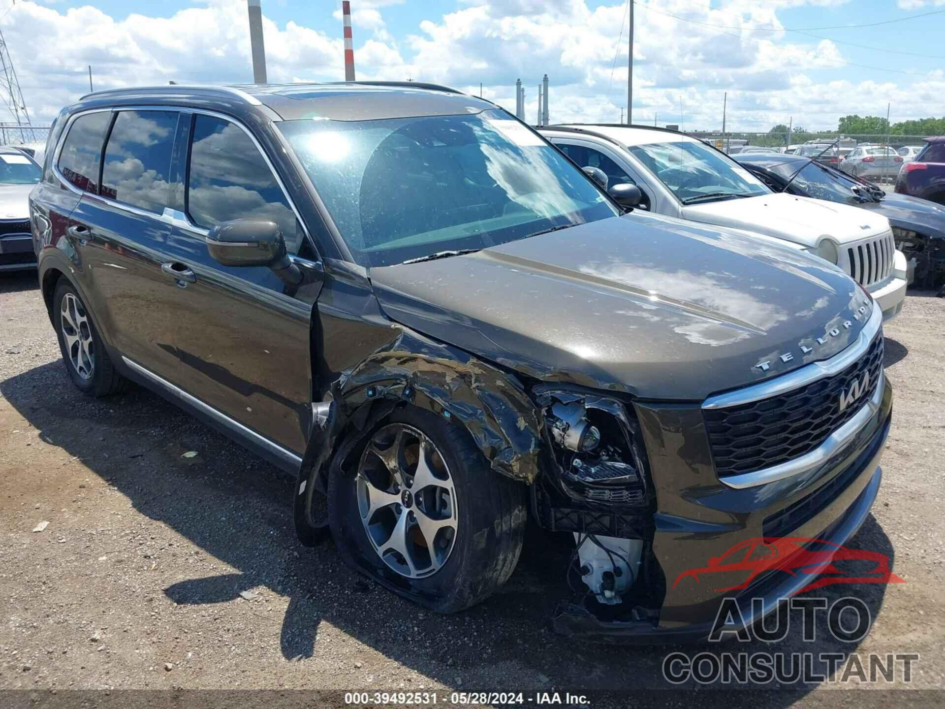 KIA TELLURIDE 2022 - 5XYP3DHCXNG209906