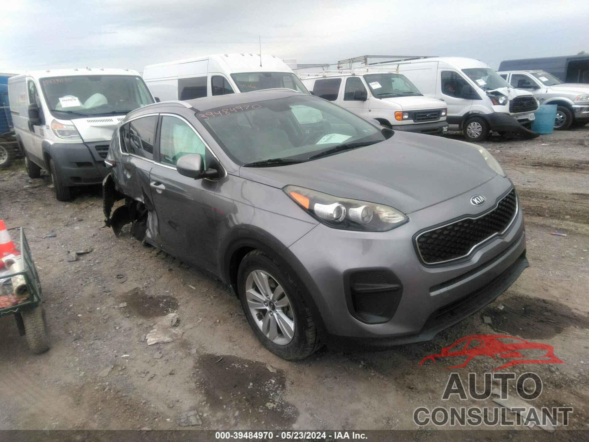 KIA SPORTAGE 2017 - KNDPM3AC6H7031656