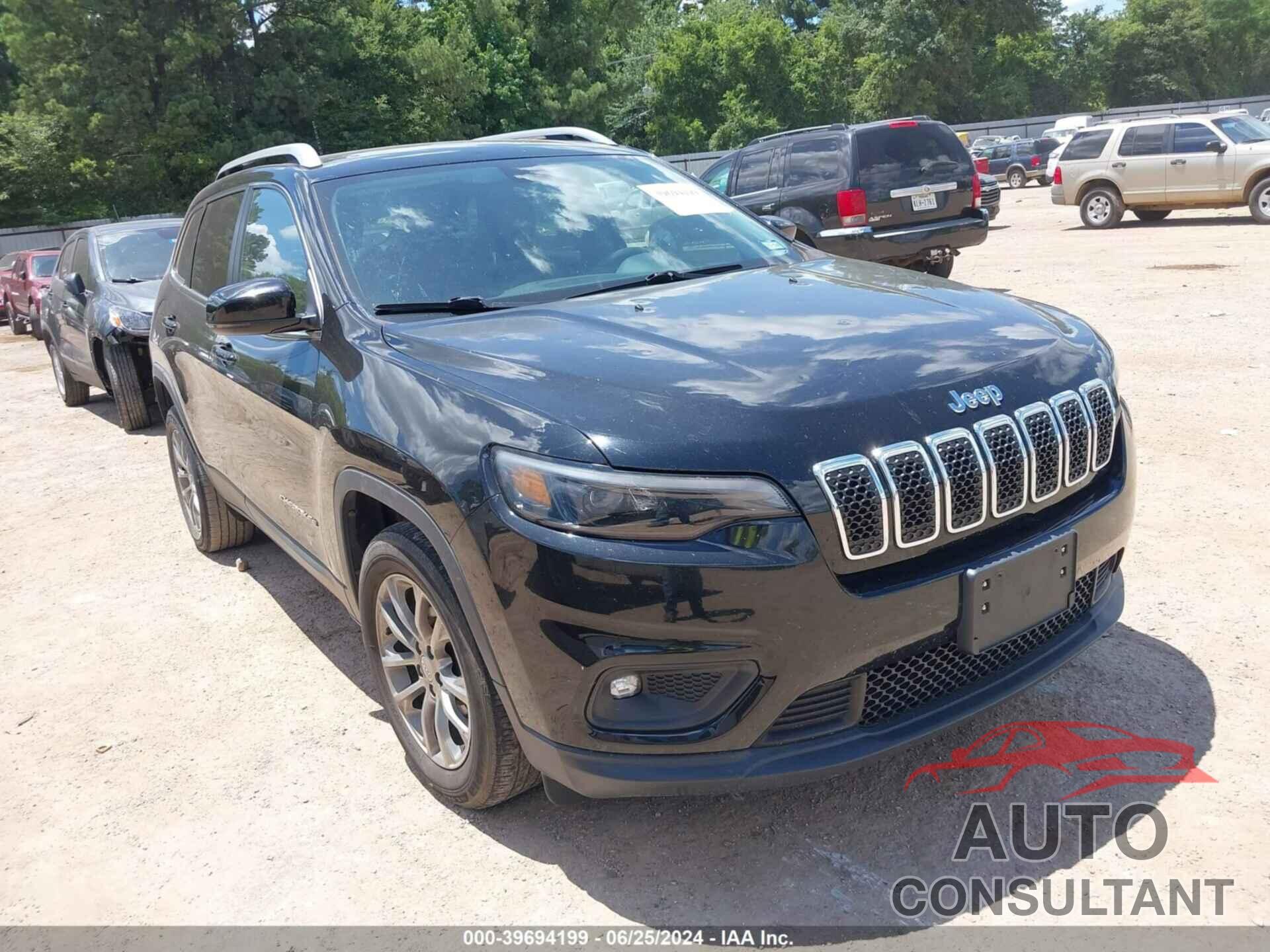 JEEP CHEROKEE 2019 - 1C4PJLLB1KD242737